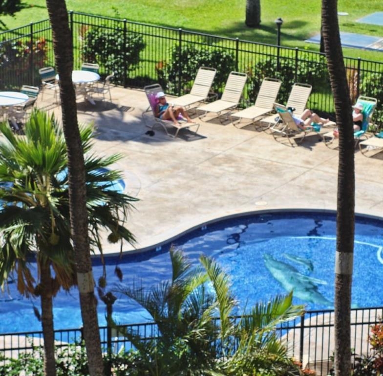 Kauhale Makai condo # 505, Kihei, Hawaii - photo 9 of 36