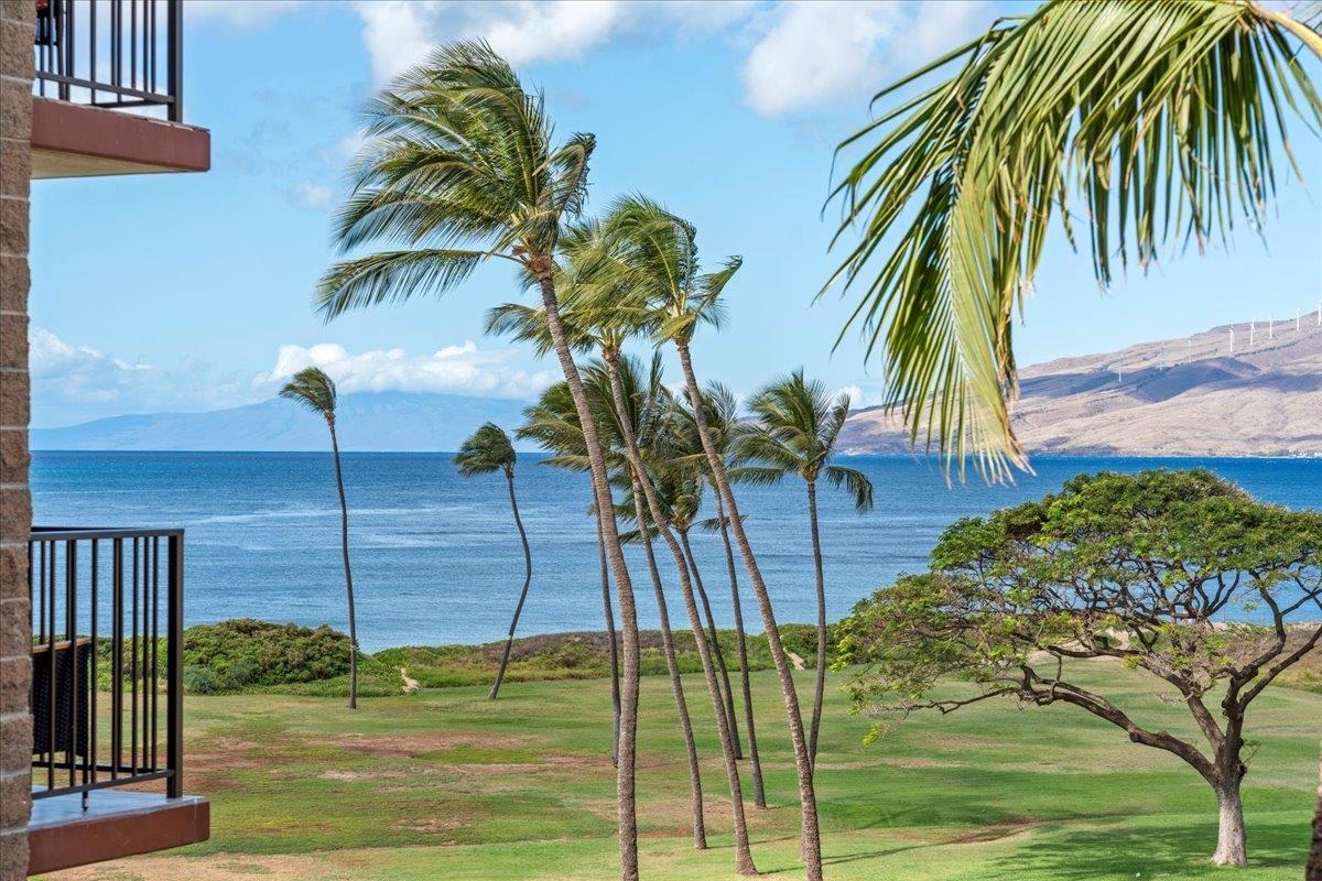 Kauhale Makai condo # 530, Kihei, Hawaii - photo 31 of 34