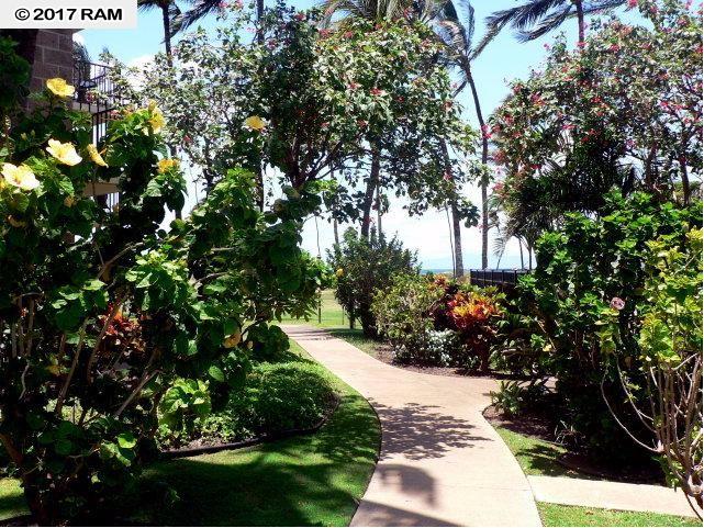 Kauhale Makai condo # 624, Kihei, Hawaii - photo 18 of 30