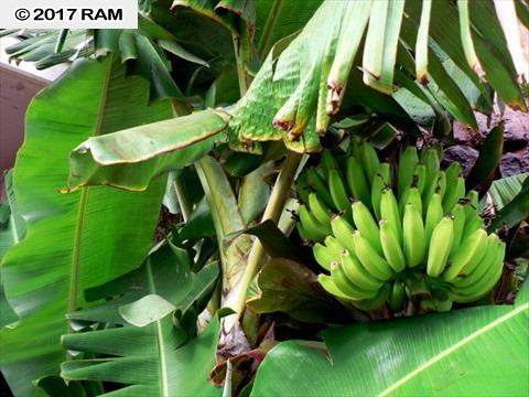 Kauhale Makai condo # 624, Kihei, Hawaii - photo 19 of 30