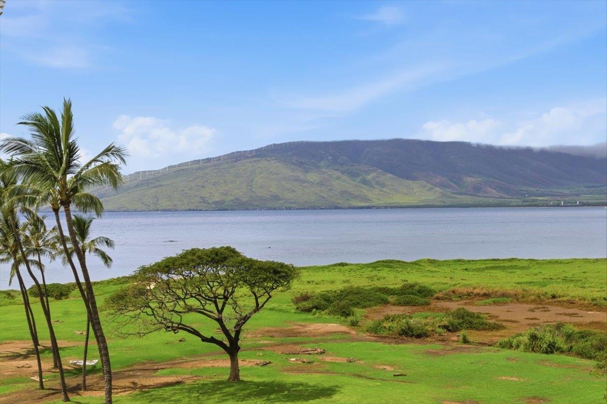 Kauhale Makai condo # 632, Kihei, Hawaii - photo 6 of 34