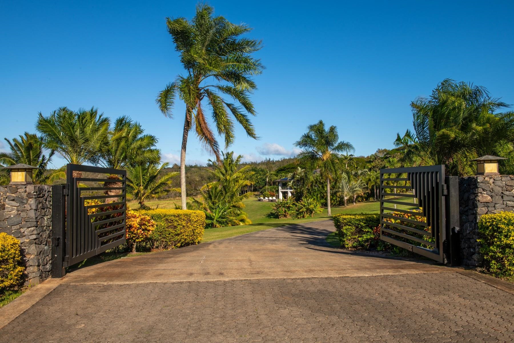 94  Keoawa Pl Honolua Ridge, Kapalua home - photo 3 of 50