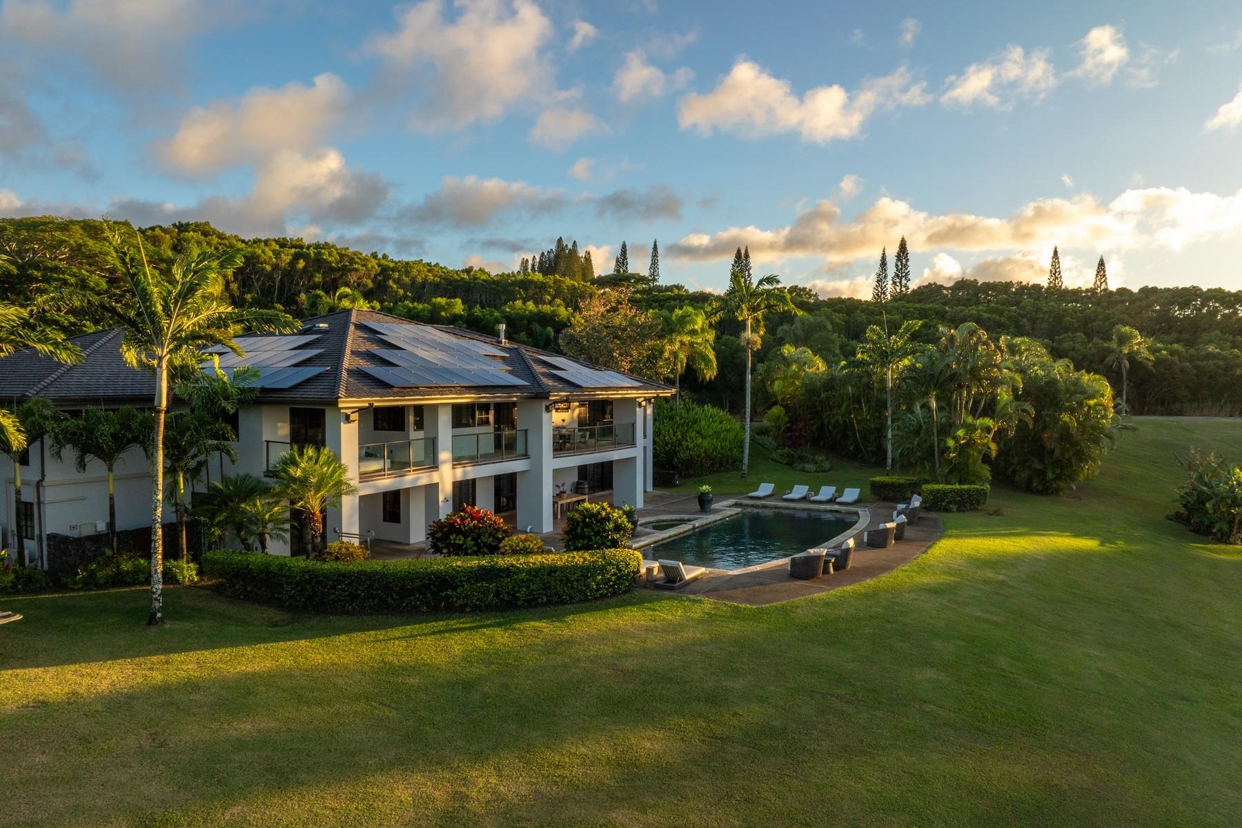 94  Keoawa Pl Honolua Ridge, Kapalua home - photo 40 of 50