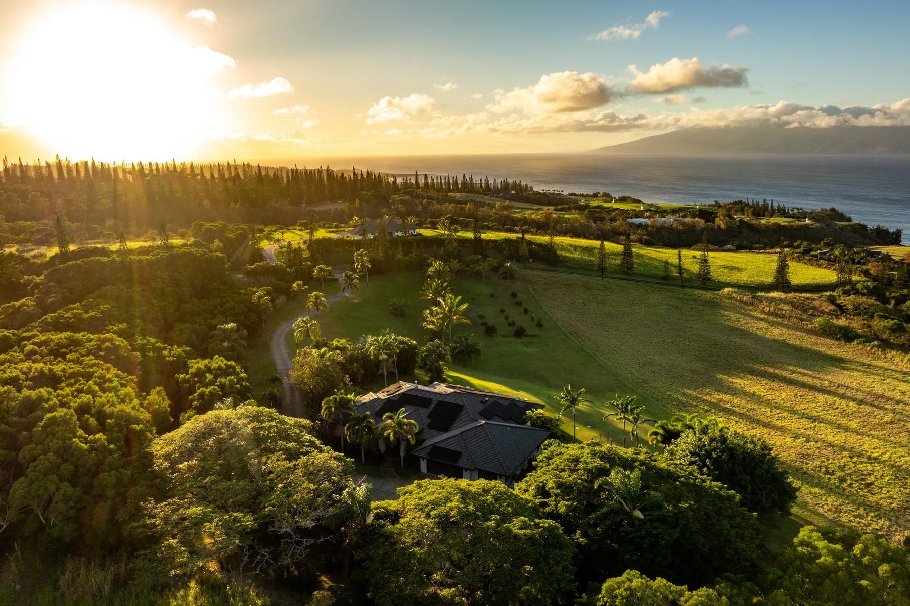 94  Keoawa Pl Honolua Ridge, Kapalua home - photo 41 of 50