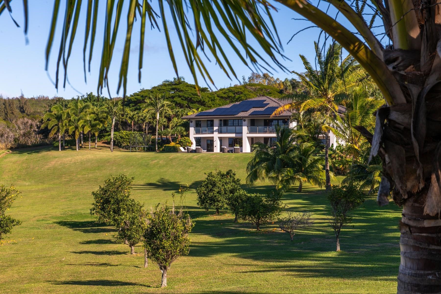 94  Keoawa Pl Honolua Ridge, Kapalua home - photo 46 of 50