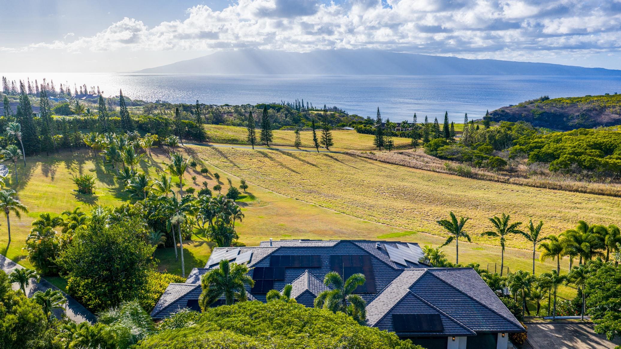 94  Keoawa Pl Honolua Ridge, Kapalua home - photo 48 of 50