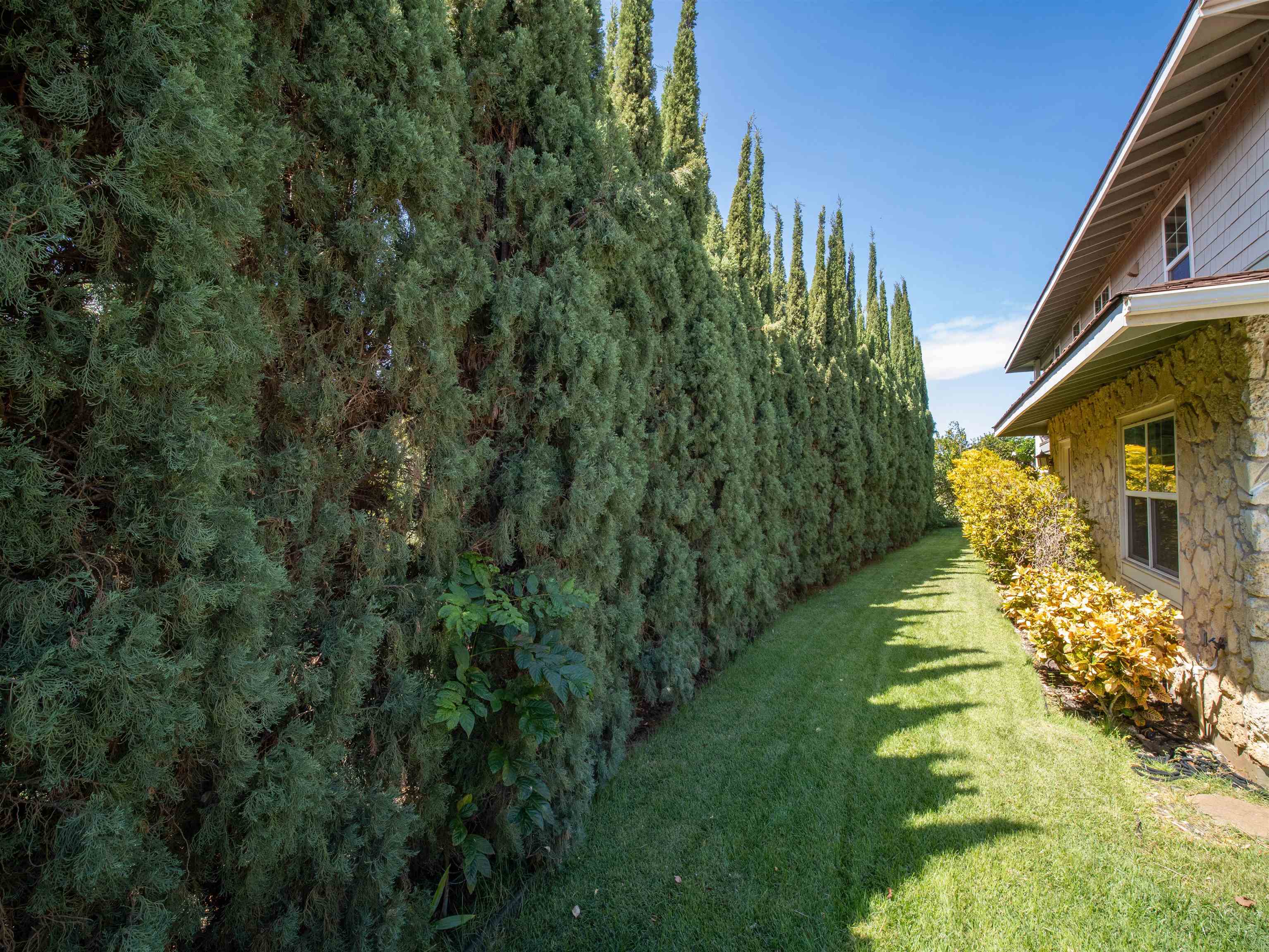 94  Laukahi St , Kihei home - photo 27 of 50