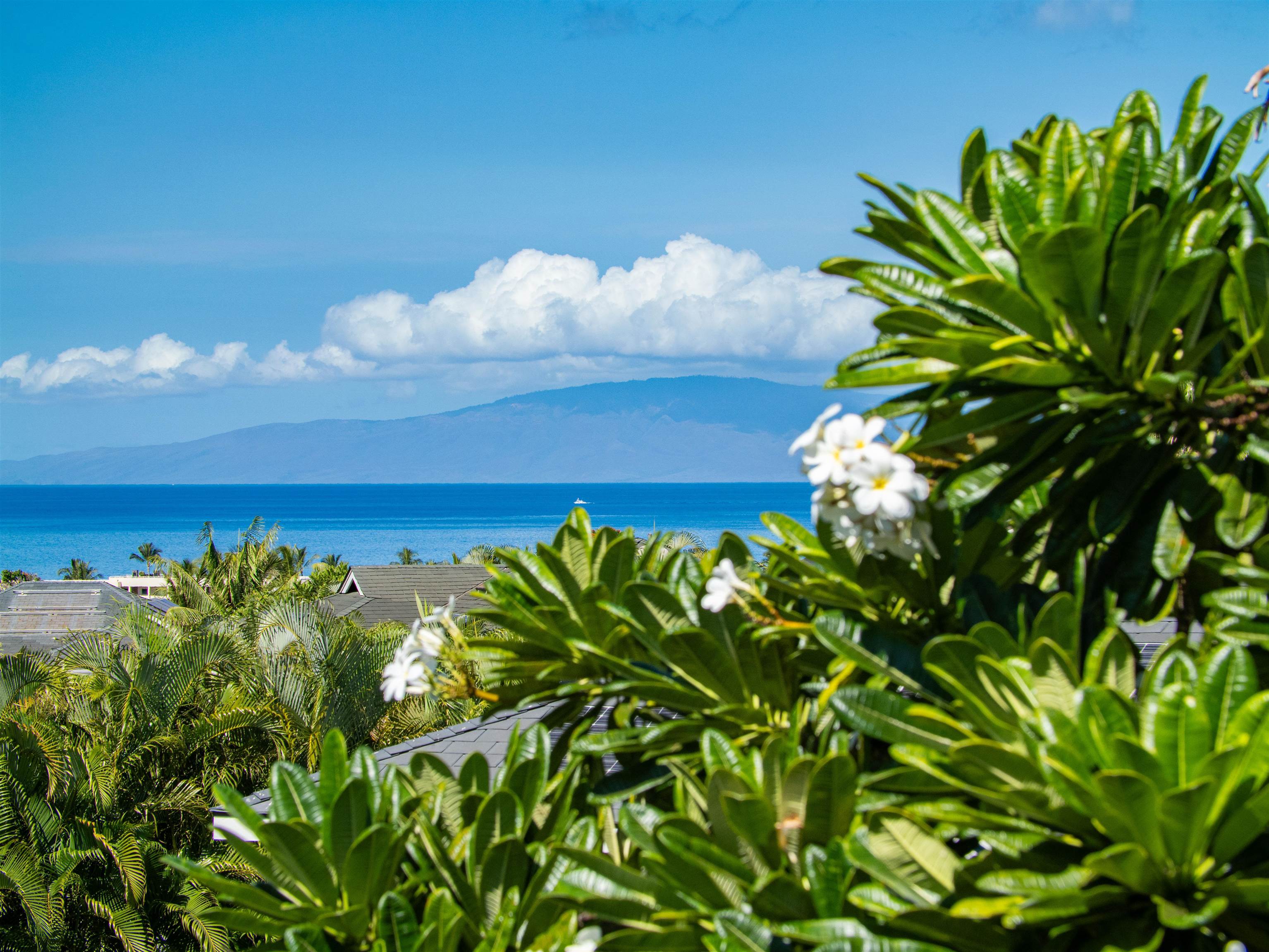 94  Laukahi St , Kihei home - photo 5 of 50