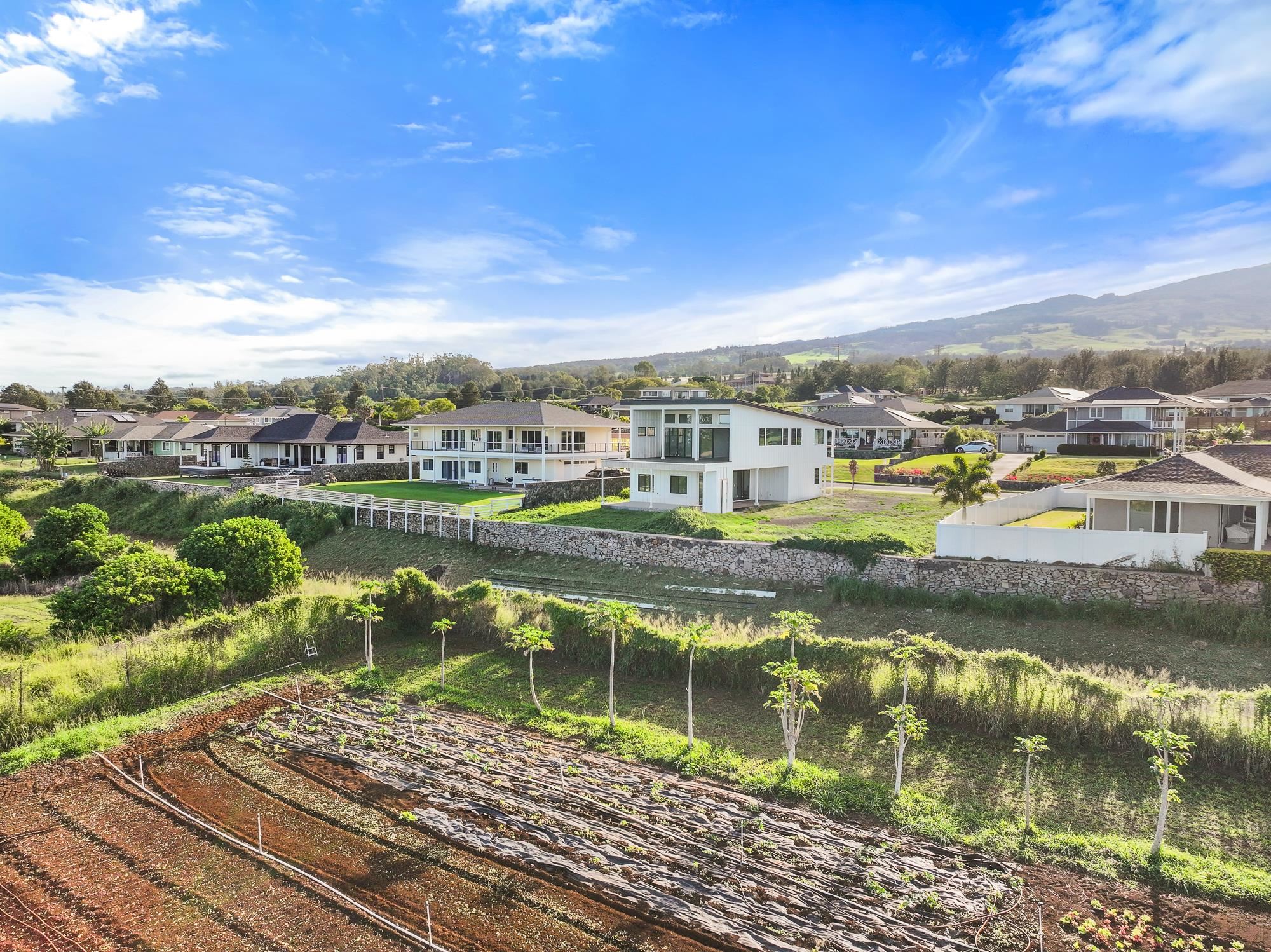 94  Leiohu Cir Kualono, Pukalani home - photo 31 of 38