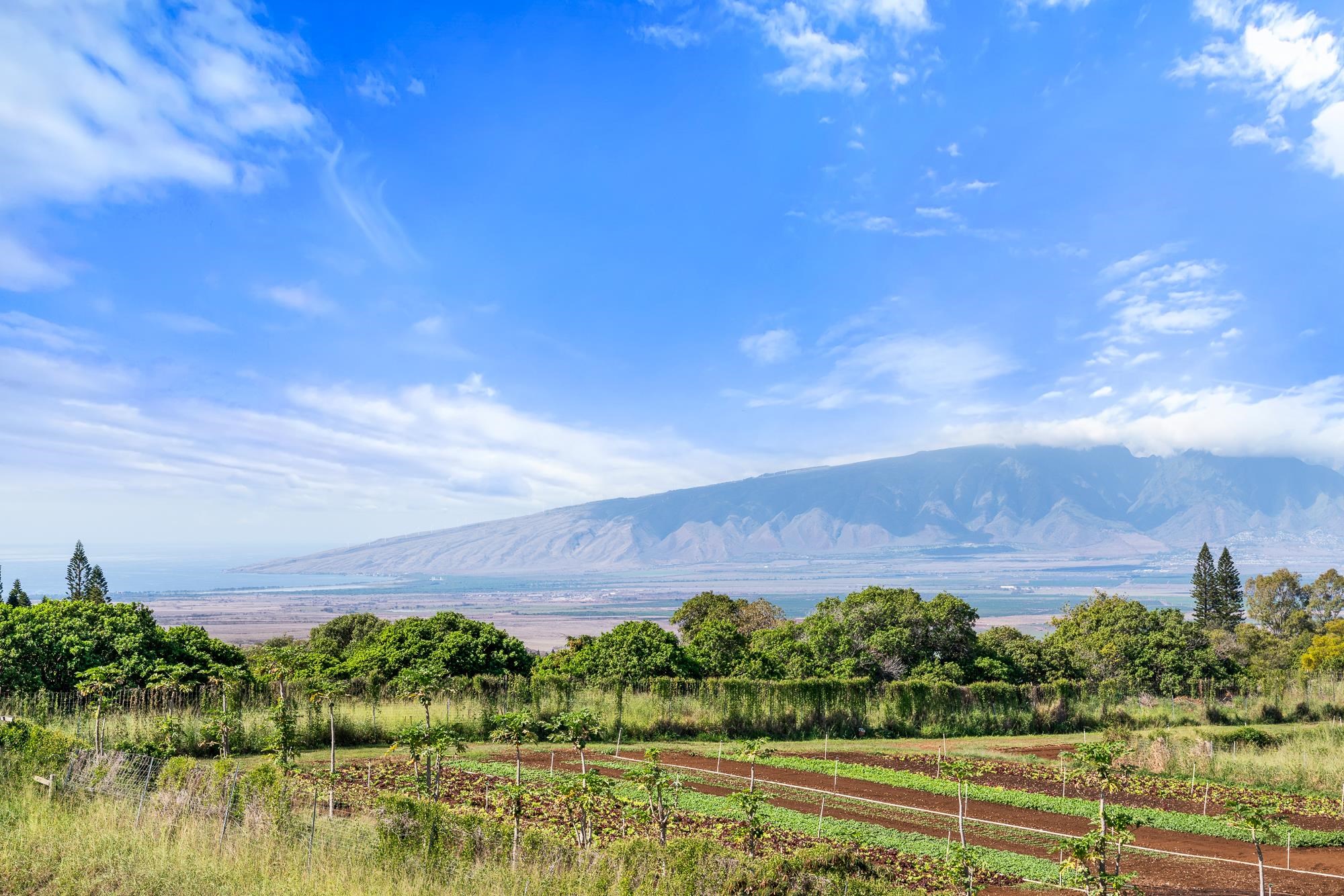 94  Leiohu Cir Kualono, Pukalani home - photo 38 of 38