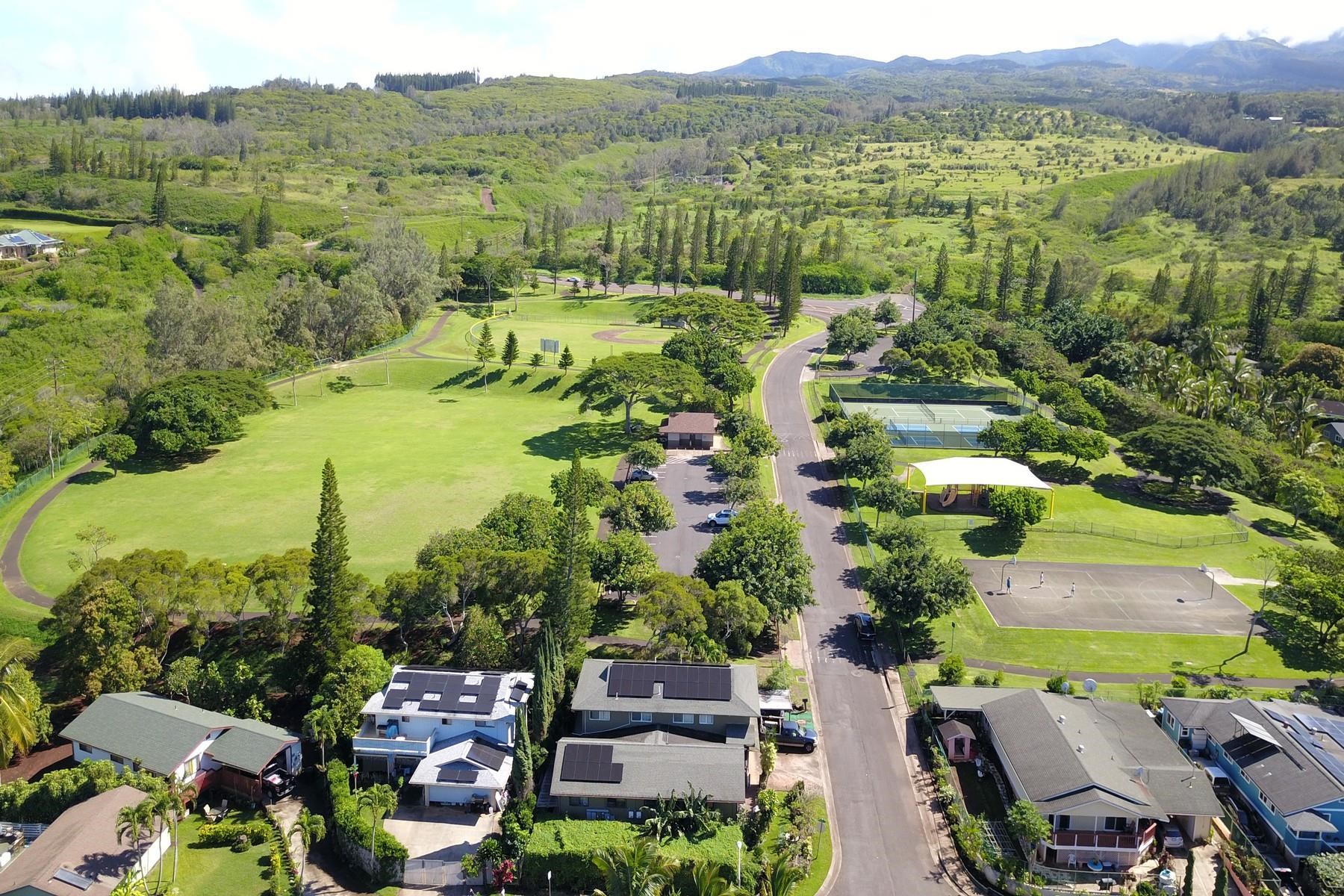 94  Maiha St , Napili/Kahana/Honokowai home - photo 7 of 7