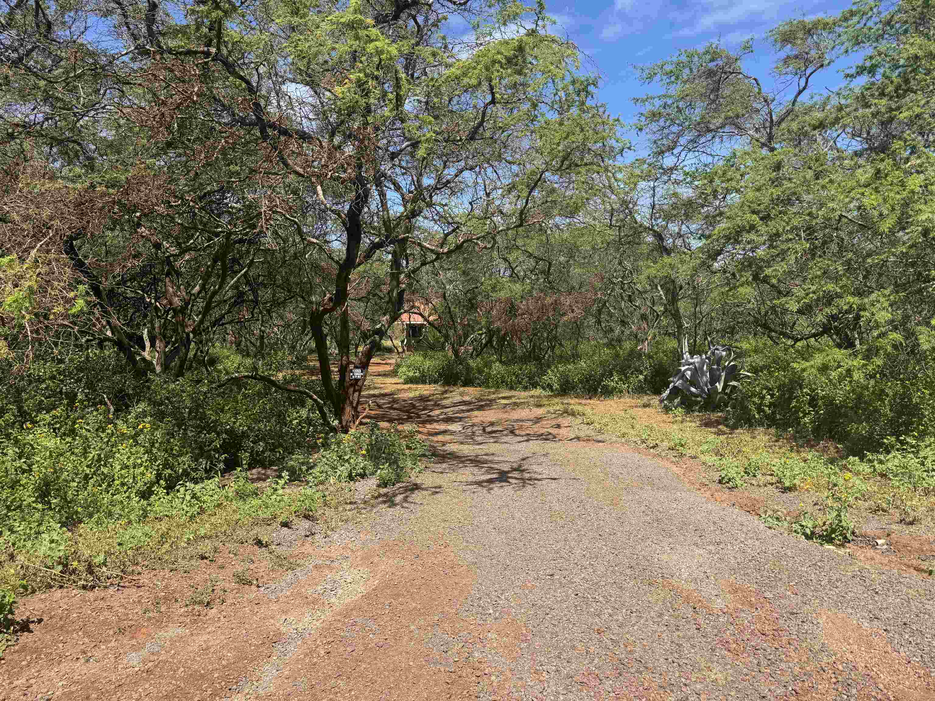 94  Noho Lio Rd , Molokai home - photo 6 of 38