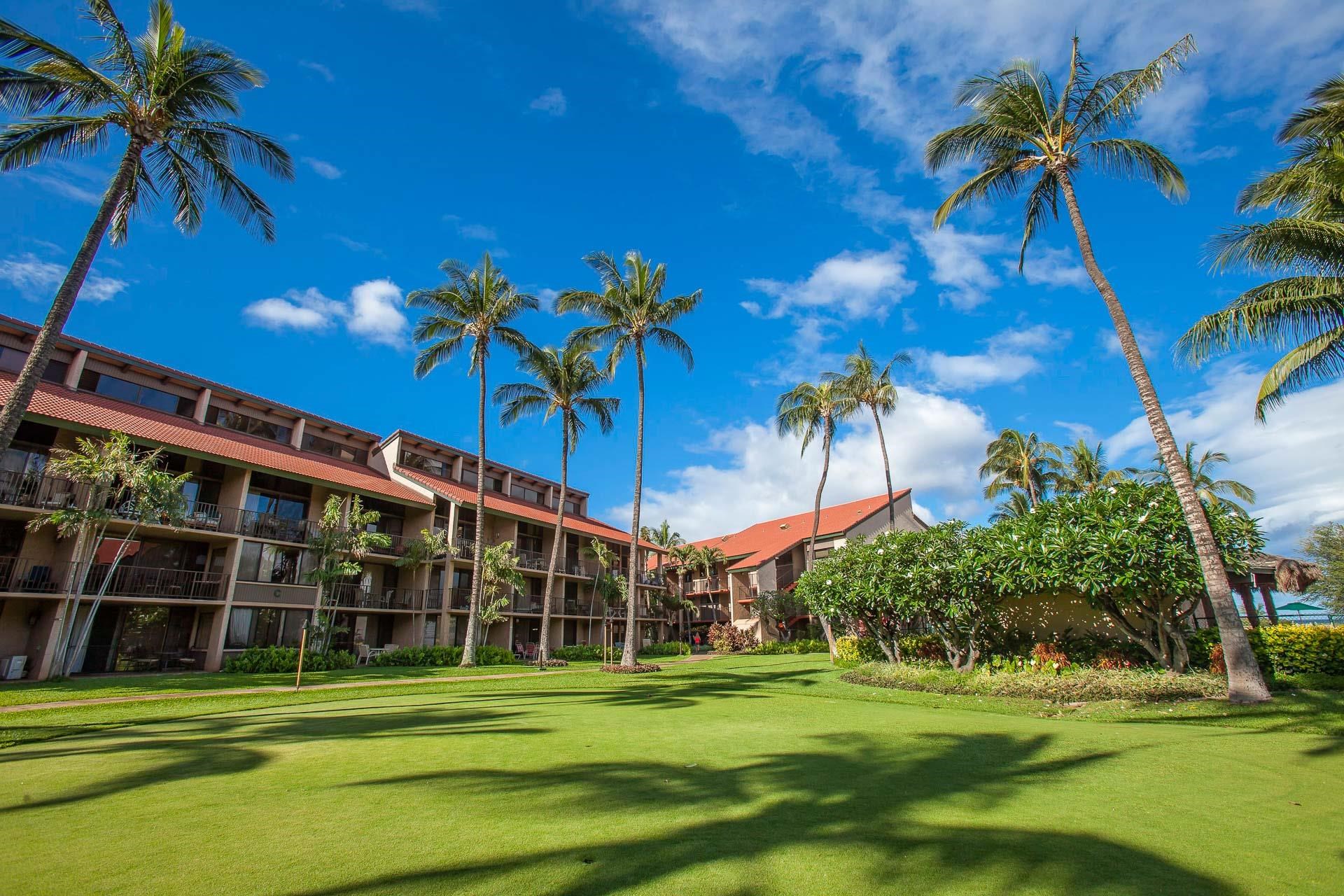 Luana Kai condo # D305, Kihei, Hawaii - photo 27 of 40