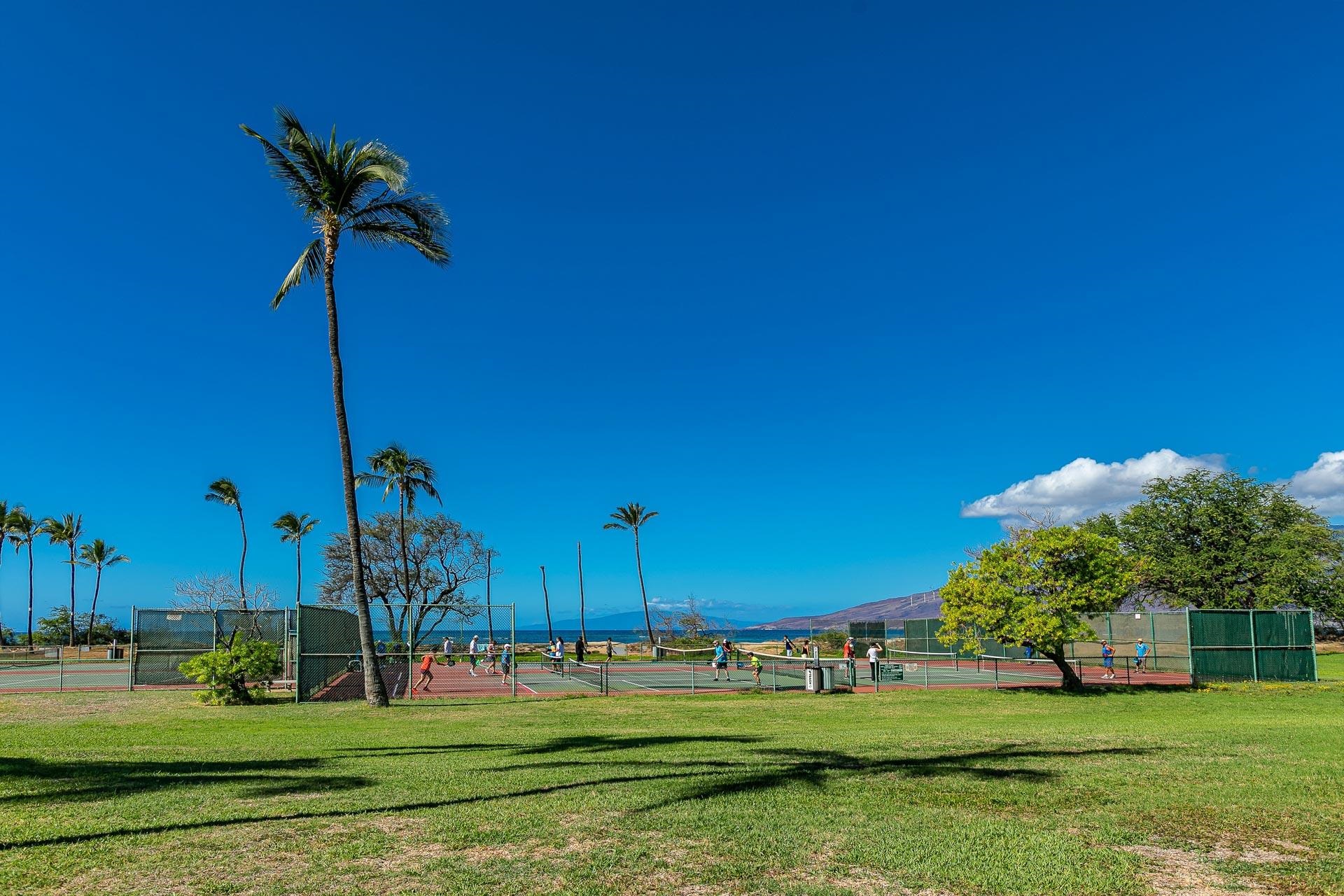 Luana Kai condo # D305, Kihei, Hawaii - photo 30 of 40