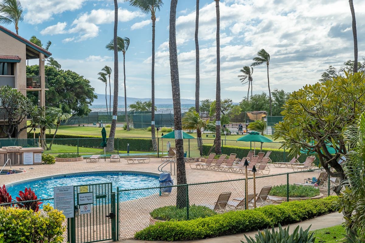 Luana Kai condo # 212B, Kihei, Hawaii - photo 25 of 35