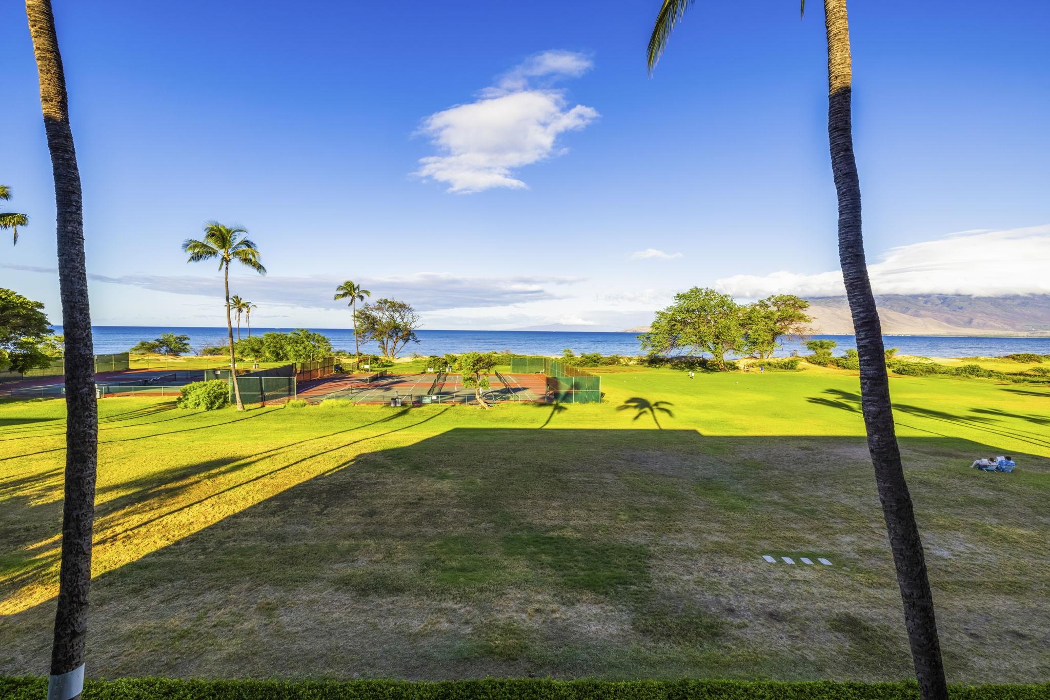 Luana Kai condo # 304D, Kihei, Hawaii - photo 32 of 50