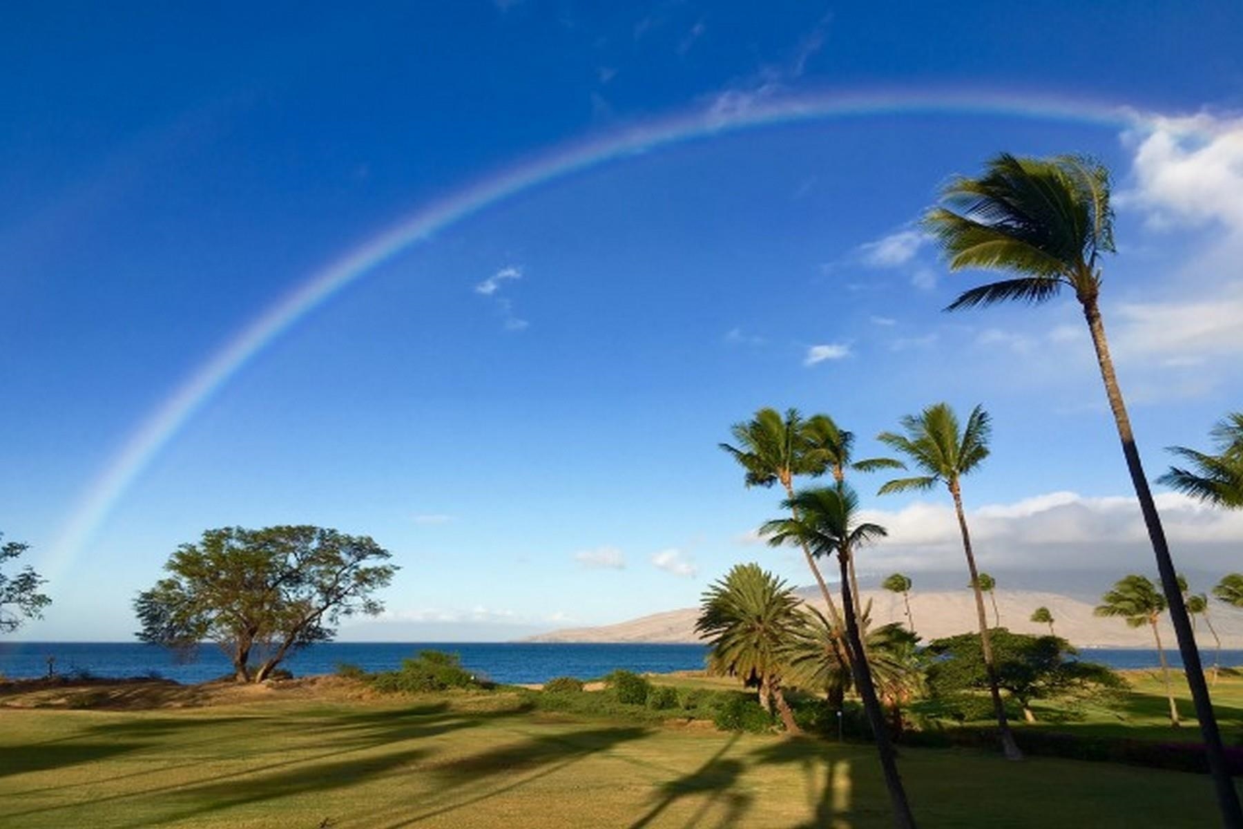 Luana Kai condo # A-201, Kihei, Hawaii - photo 19 of 20