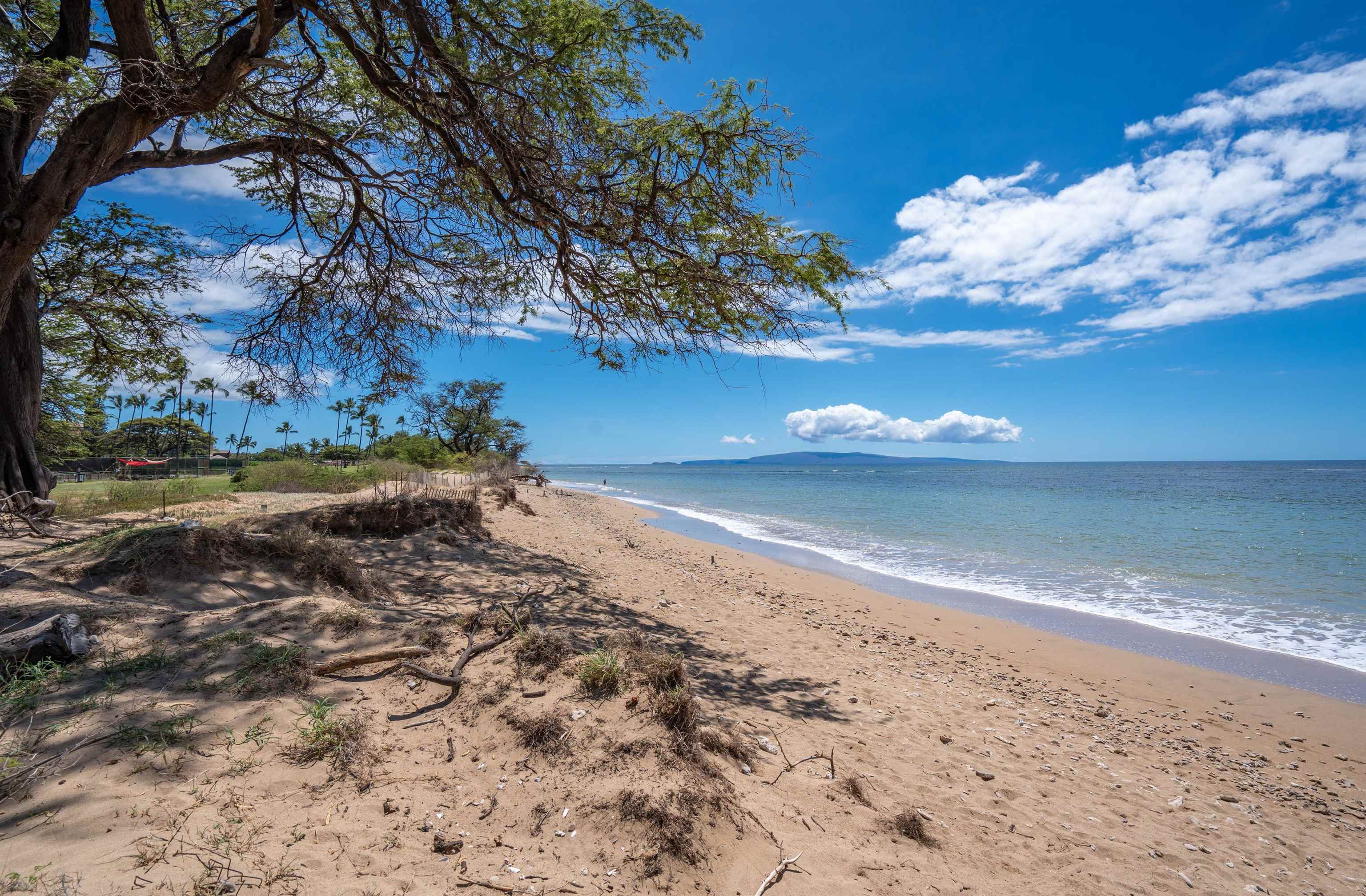 Luana Kai condo # B-211, Kihei, Hawaii - photo 25 of 27