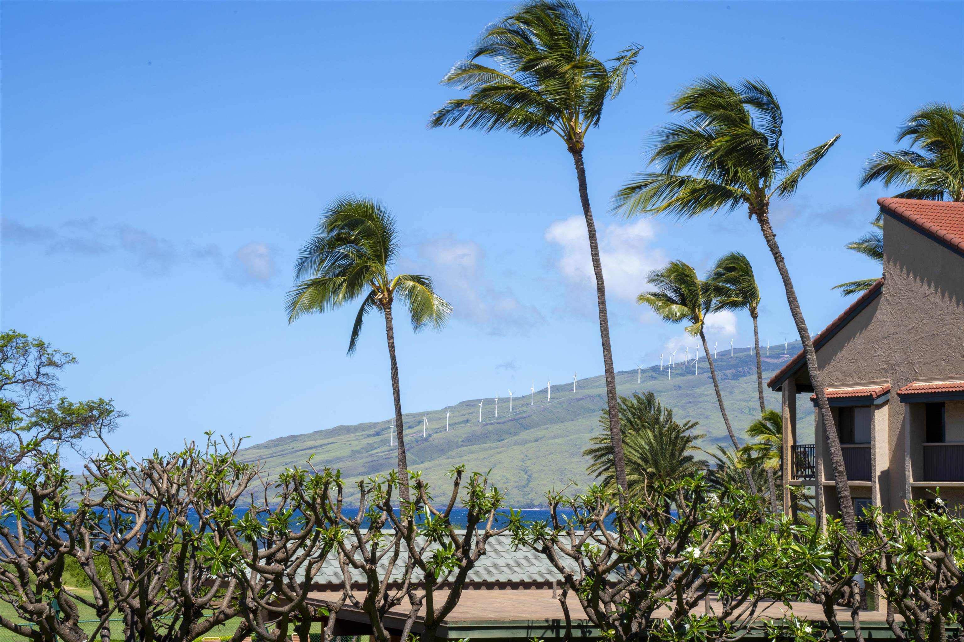 Luana Kai condo # C207, Kihei, Hawaii - photo 41 of 44
