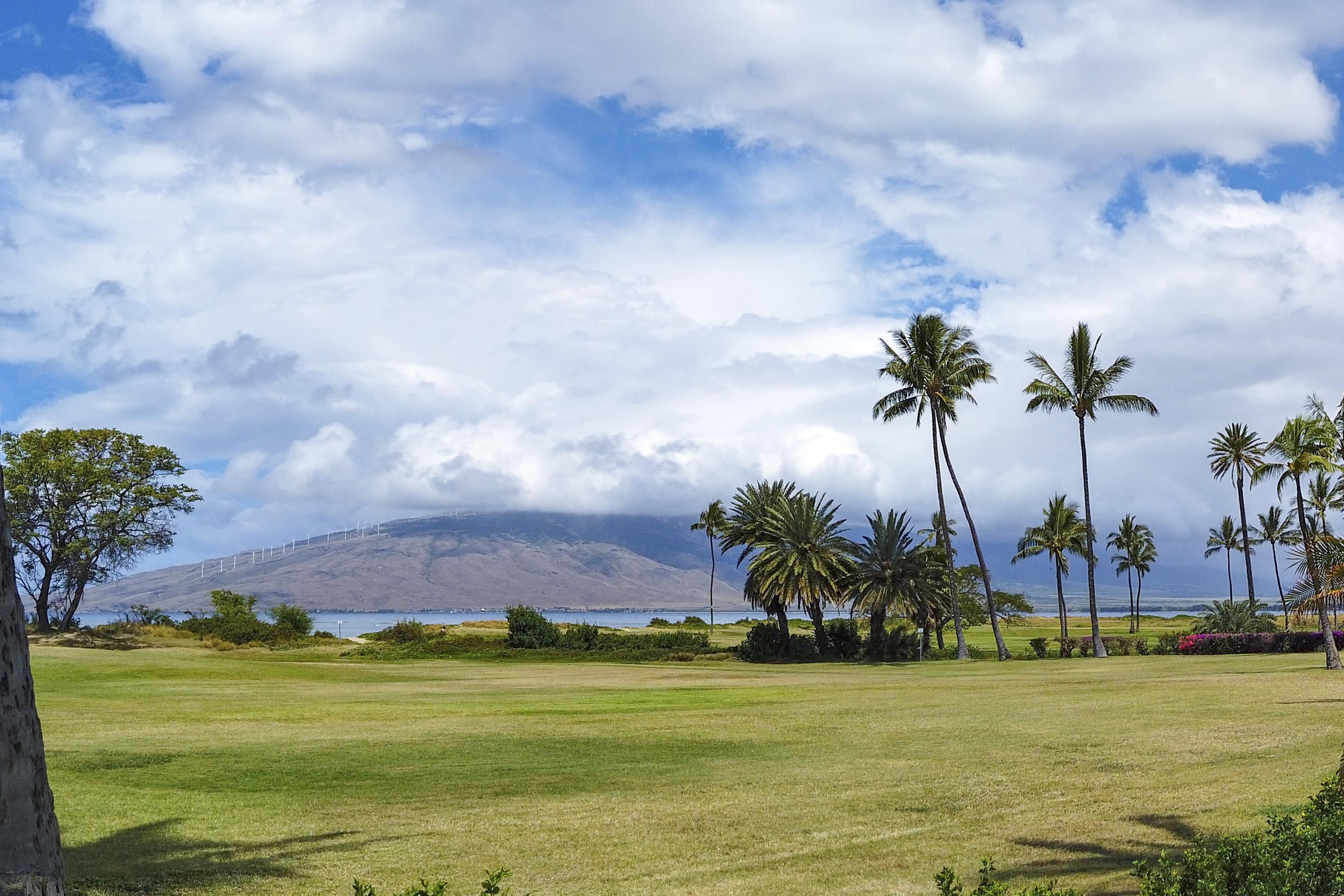 Luana Kai condo # C207, Kihei, Hawaii - photo 43 of 44
