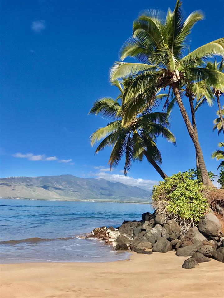 Luana Kai condo # C-301, Kihei, Hawaii - photo 29 of 30