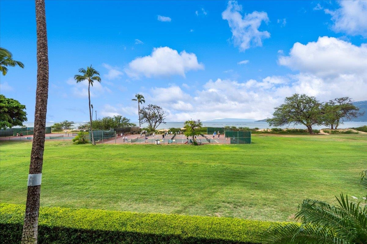 Luana Kai condo # D203, Kihei, Hawaii - photo 43 of 44
