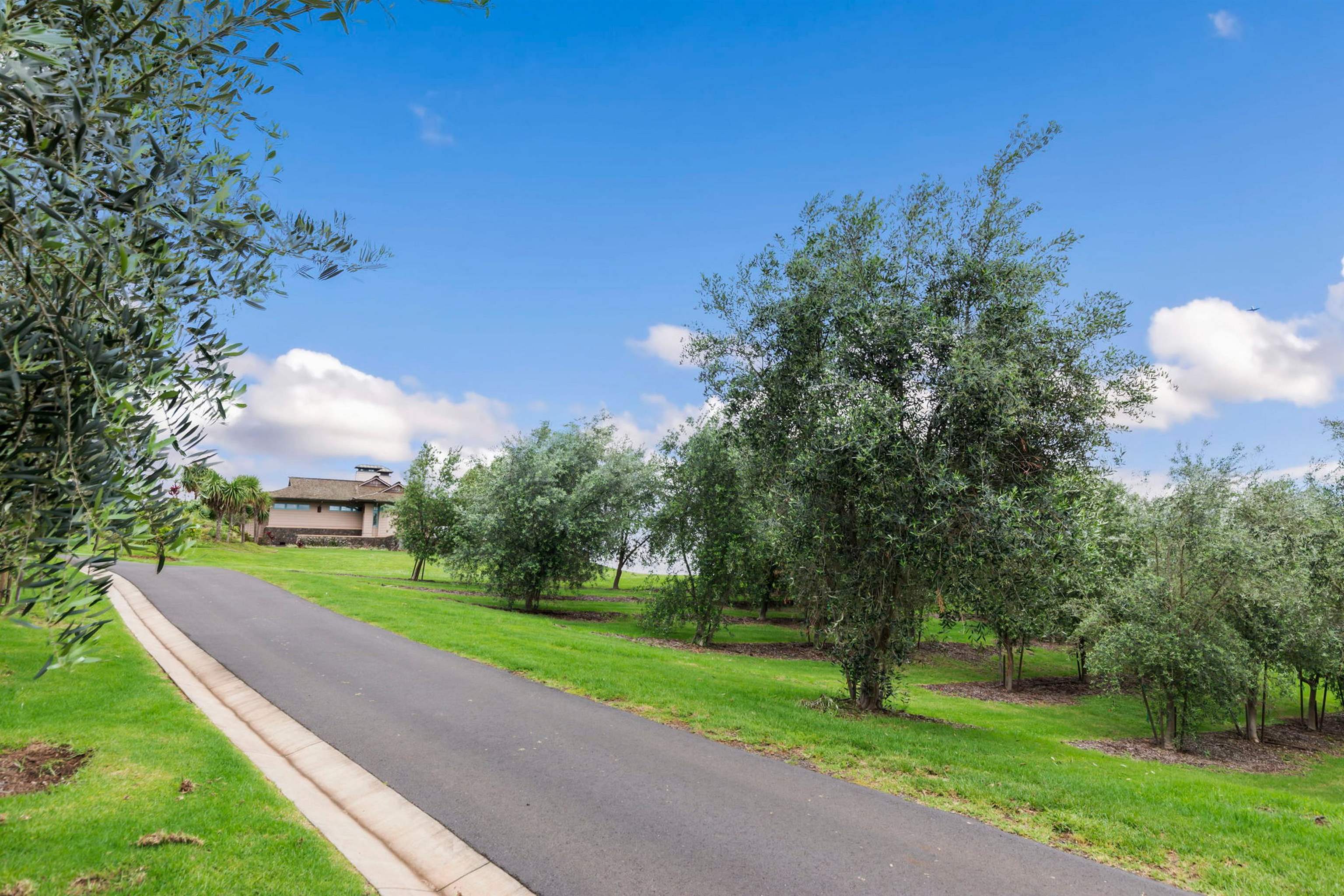 95 & 285  Kekaulike Ave , Kula/Ulupalakua/Kanaio home - photo 44 of 50