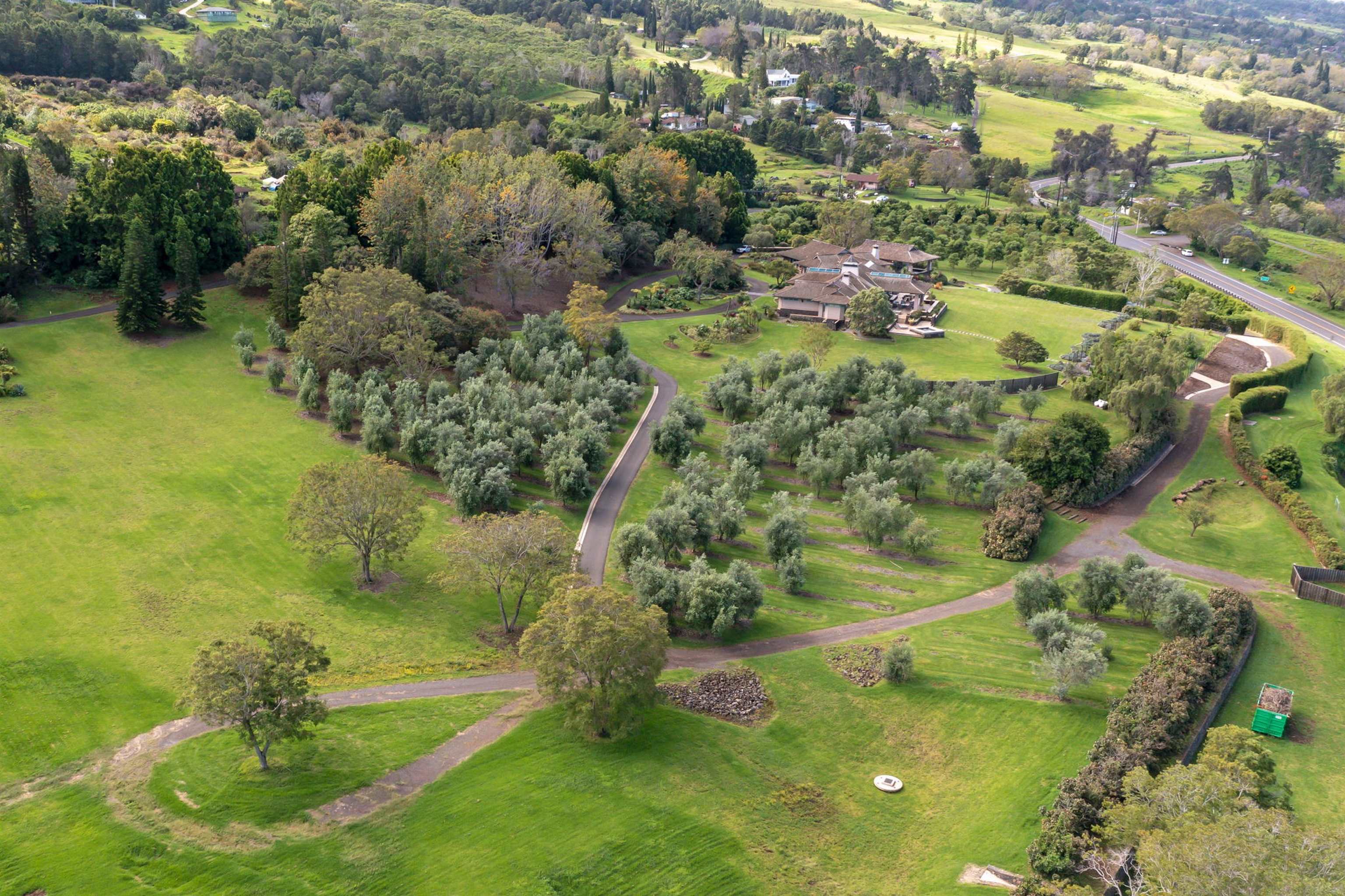 95 & 285  Kekaulike Ave , Kula/Ulupalakua/Kanaio home - photo 46 of 50