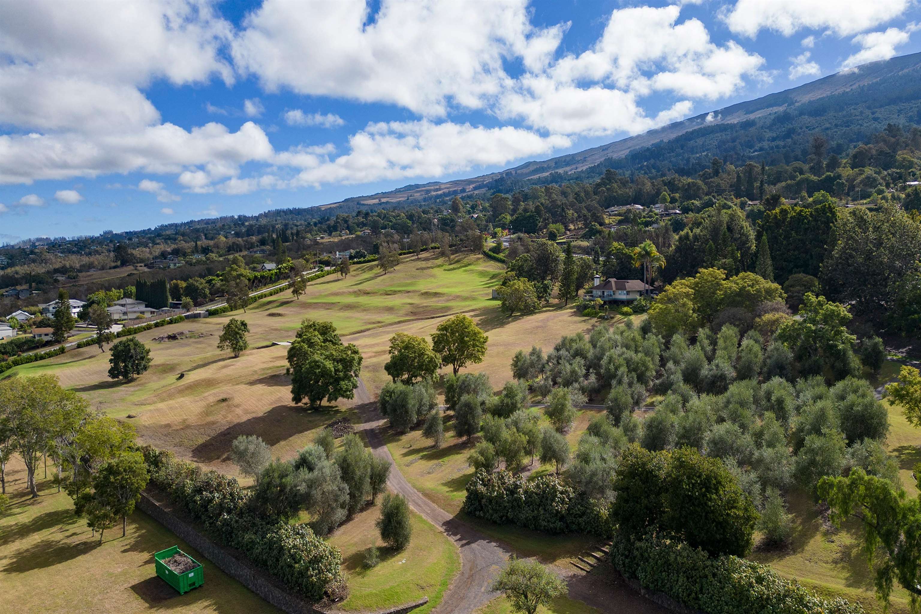 95 & 285  Kekaulike Ave , Kula/Ulupalakua/Kanaio home - photo 48 of 50