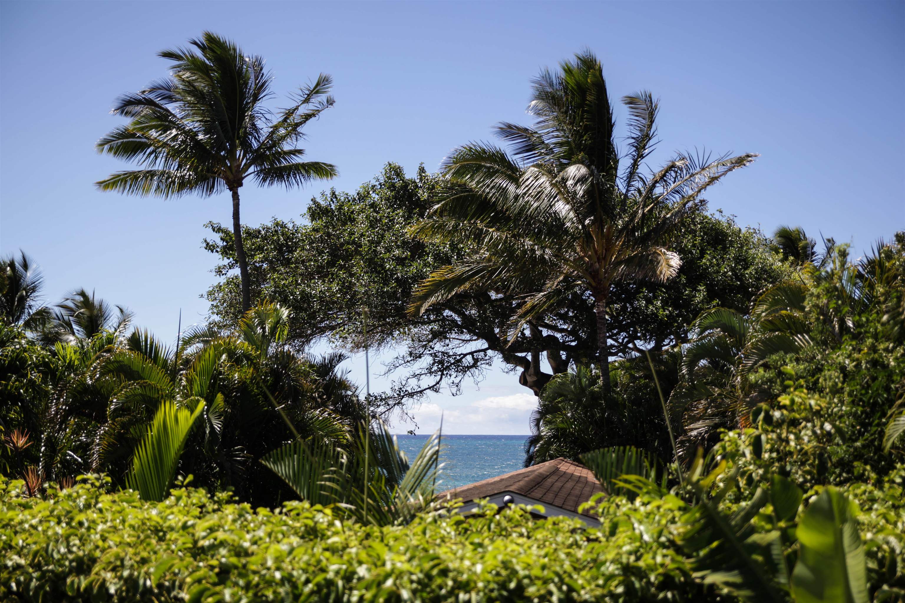 95 B  Hana Hwy Paia Town, Spreckelsville/Paia/Kuau home - photo 10 of 31