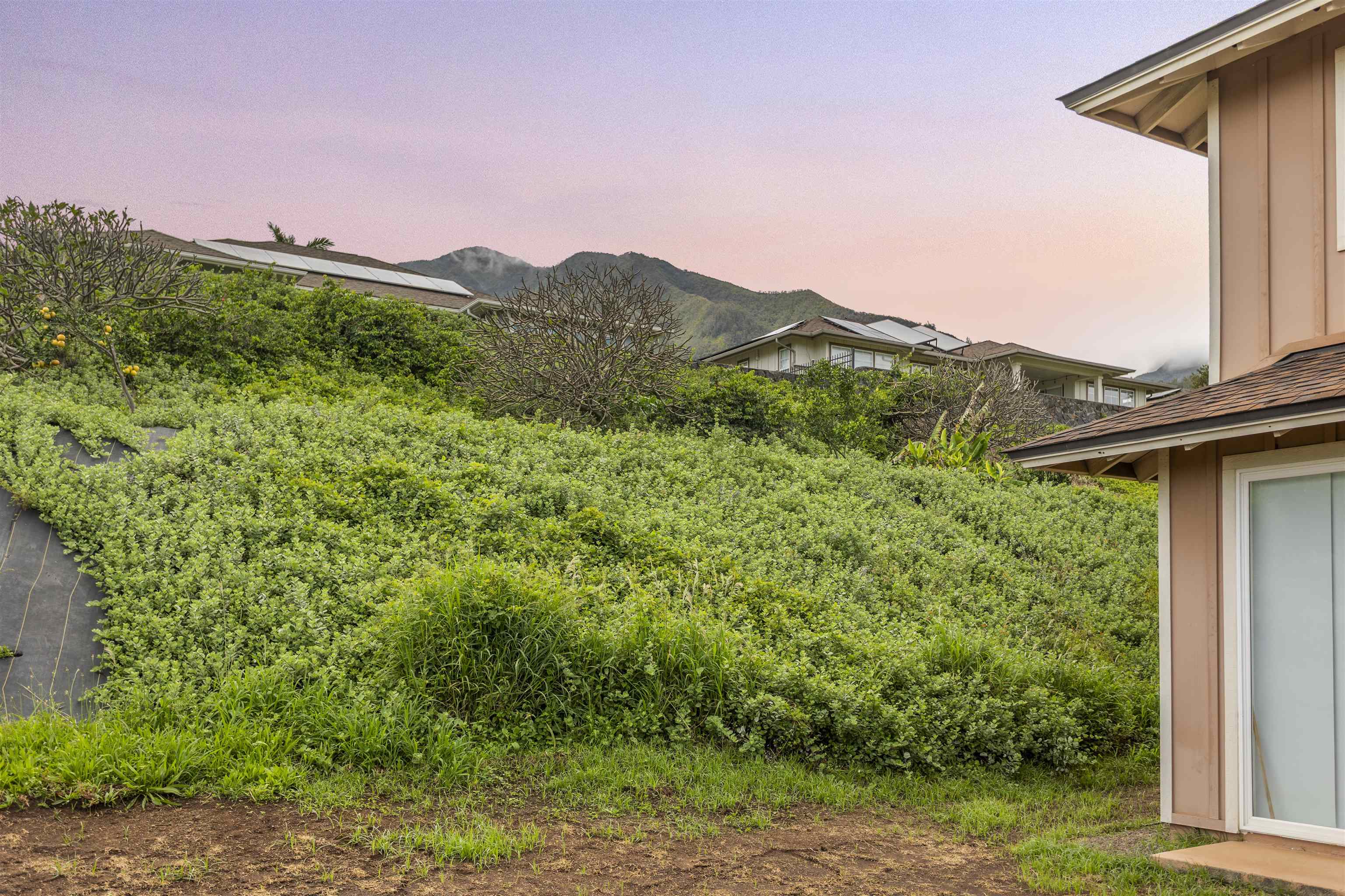 96  Kinohi Loa St The Cottages At Kehalani, Wailuku home - photo 24 of 25