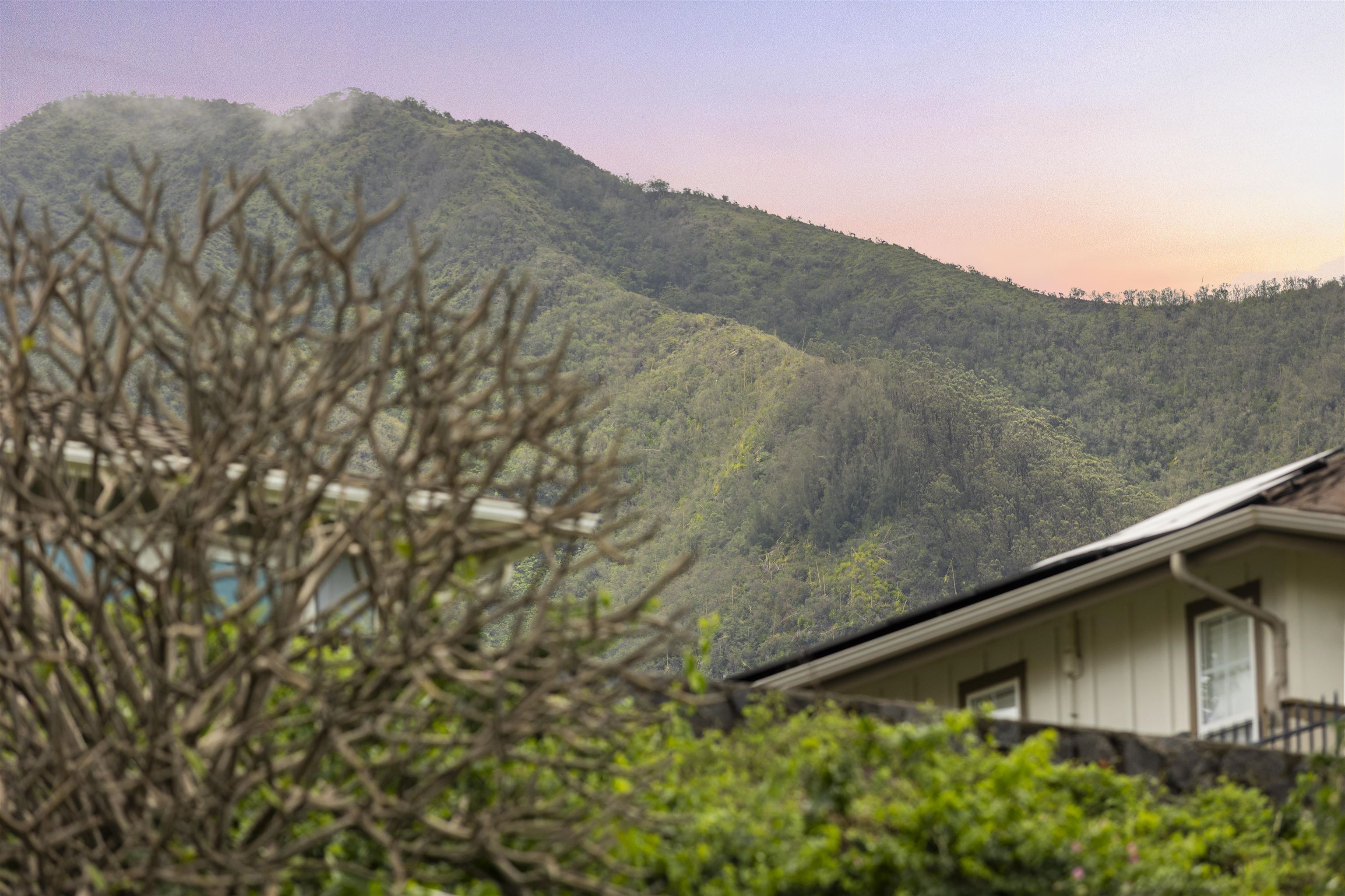 96  Kinohi Loa St The Cottages At Kehalani, Wailuku home - photo 25 of 25