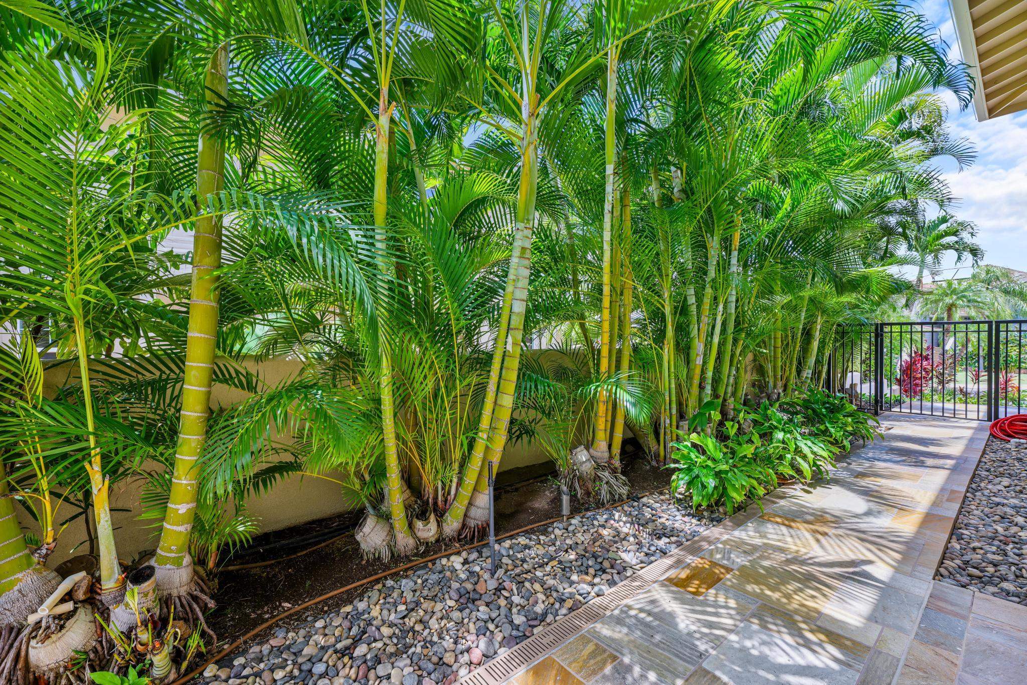 96  Moana Ave Kihei, Kihei home - photo 27 of 50