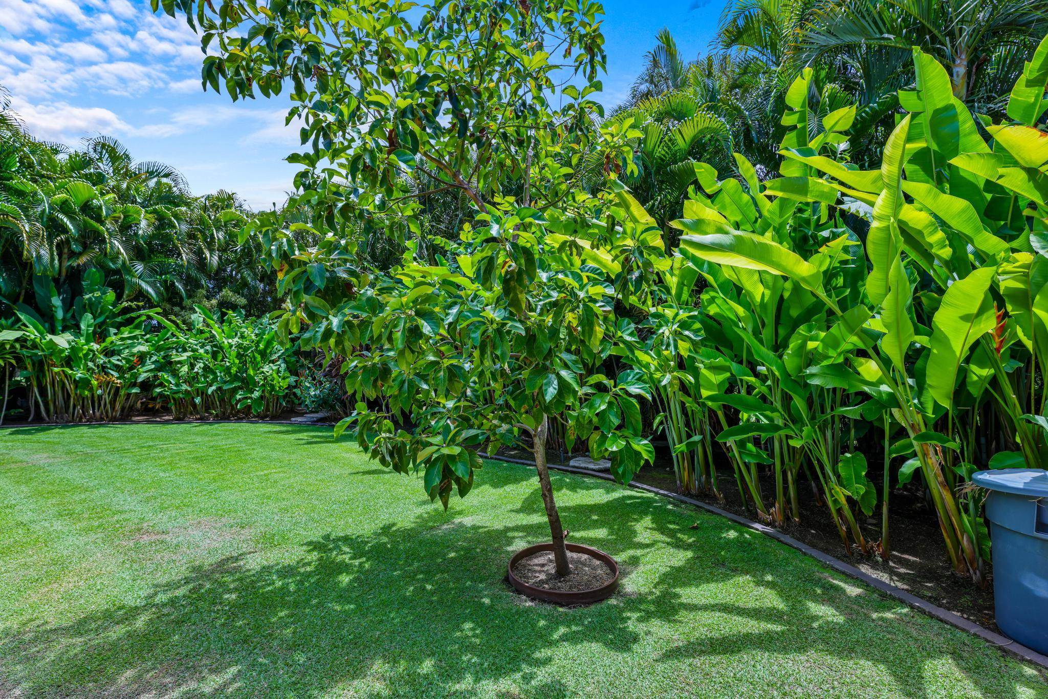96  Moana Ave Kihei, Kihei home - photo 30 of 50
