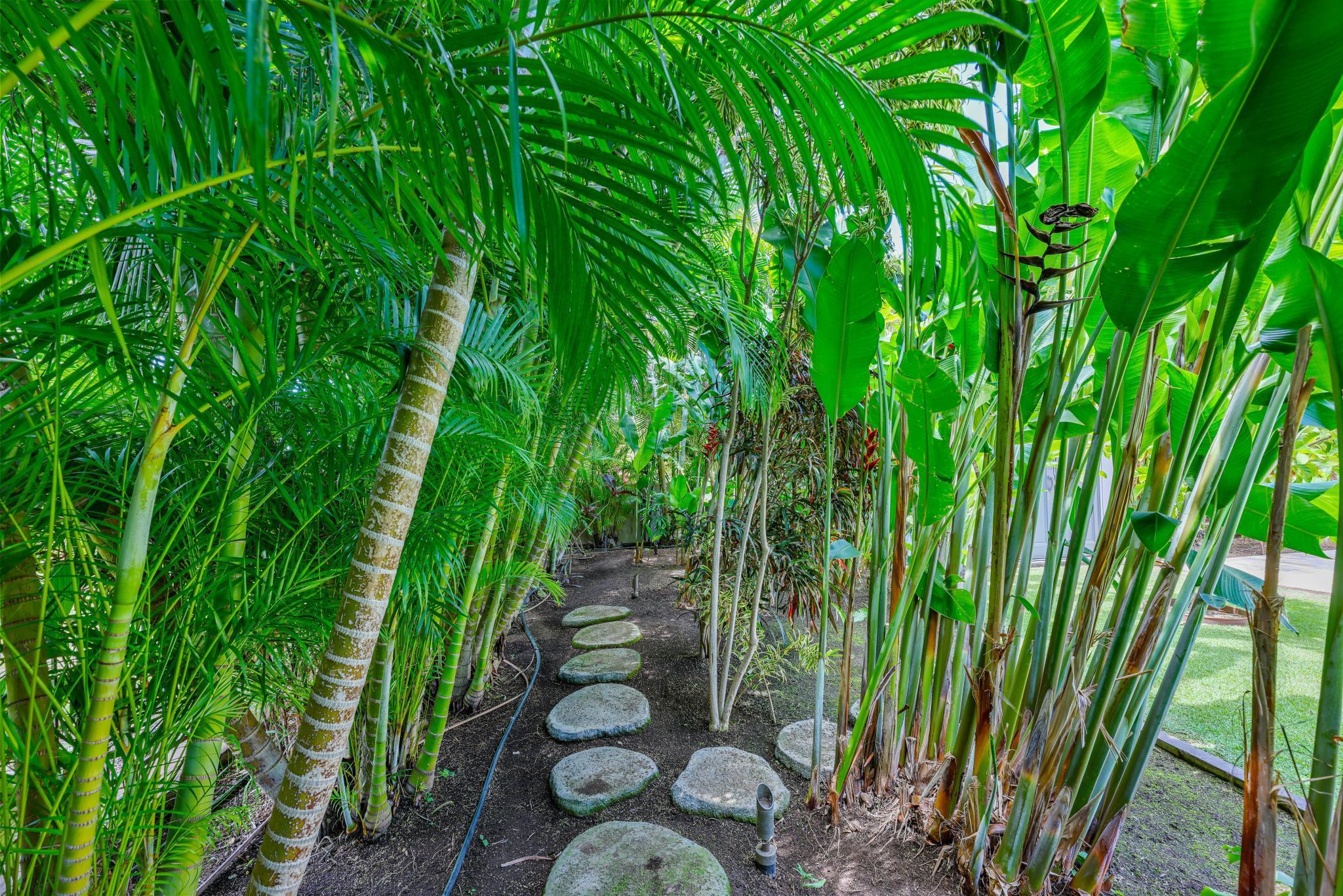 96  Moana Ave Kihei, Kihei home - photo 34 of 50