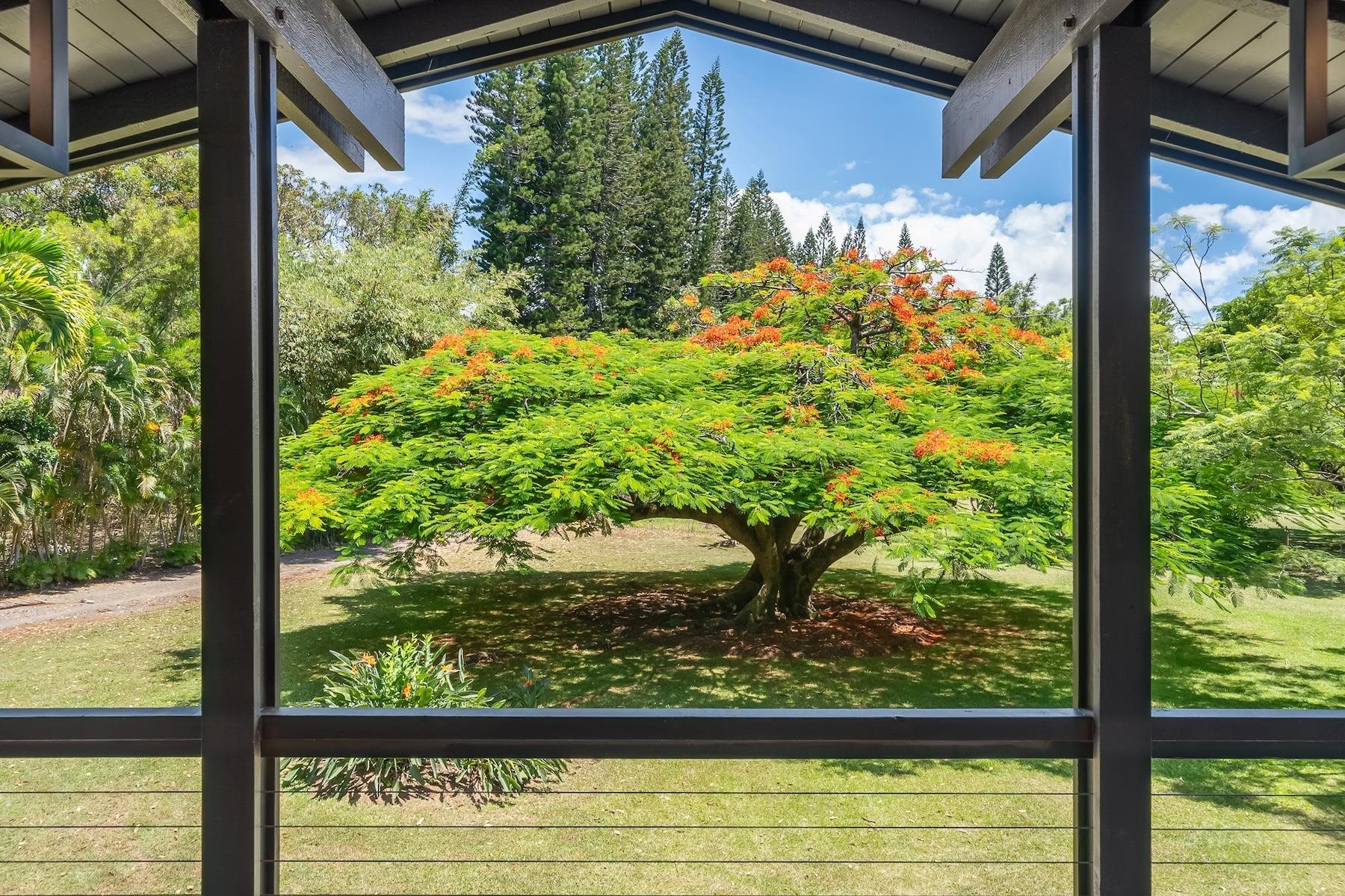 965  Hog Back Rd , Haiku home - photo 23 of 50