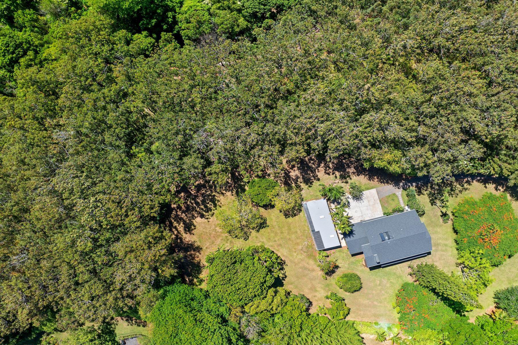 965  Hog Back Rd , Haiku home - photo 49 of 50