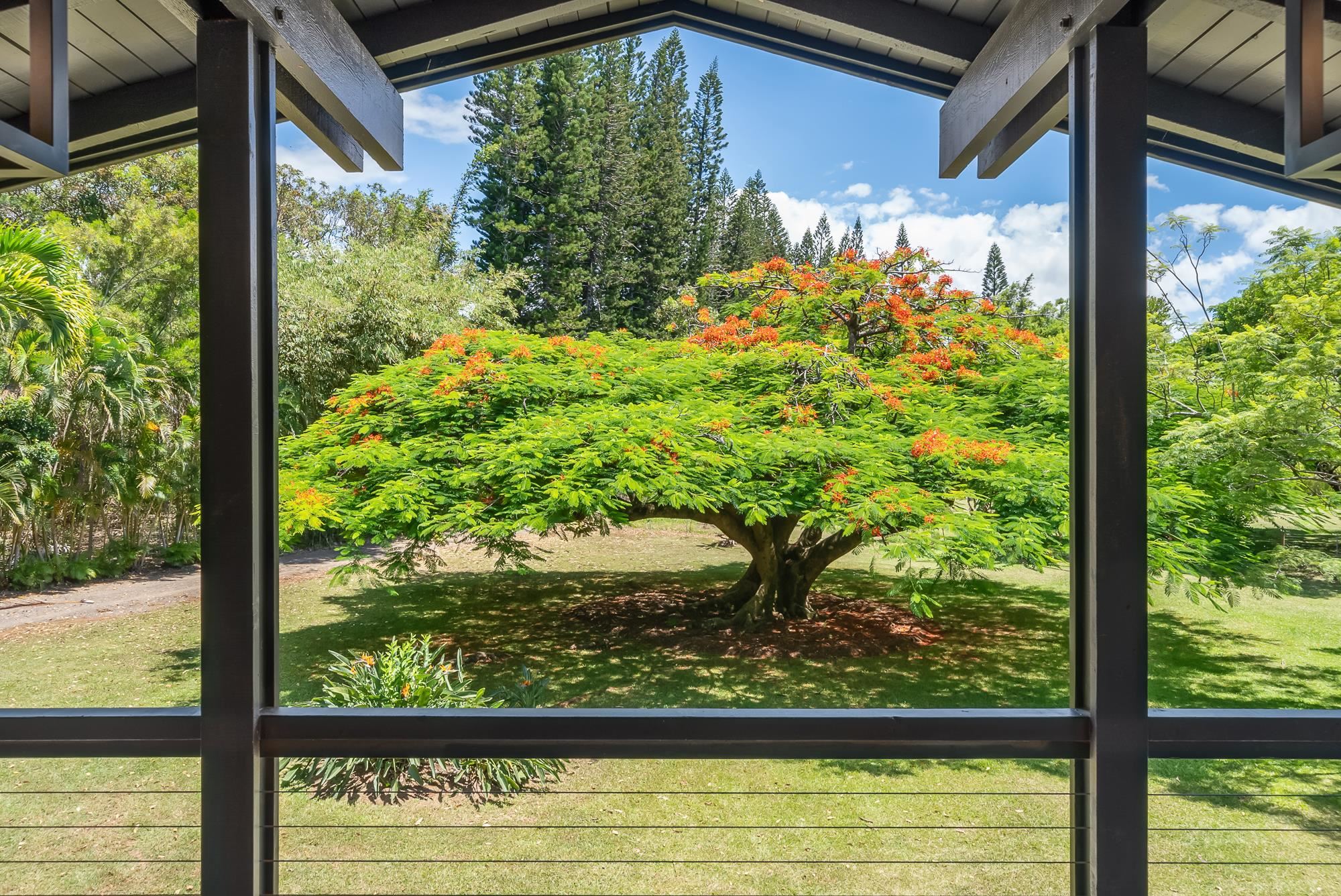 965  Hog Back Rd , Haiku home - photo 23 of 44