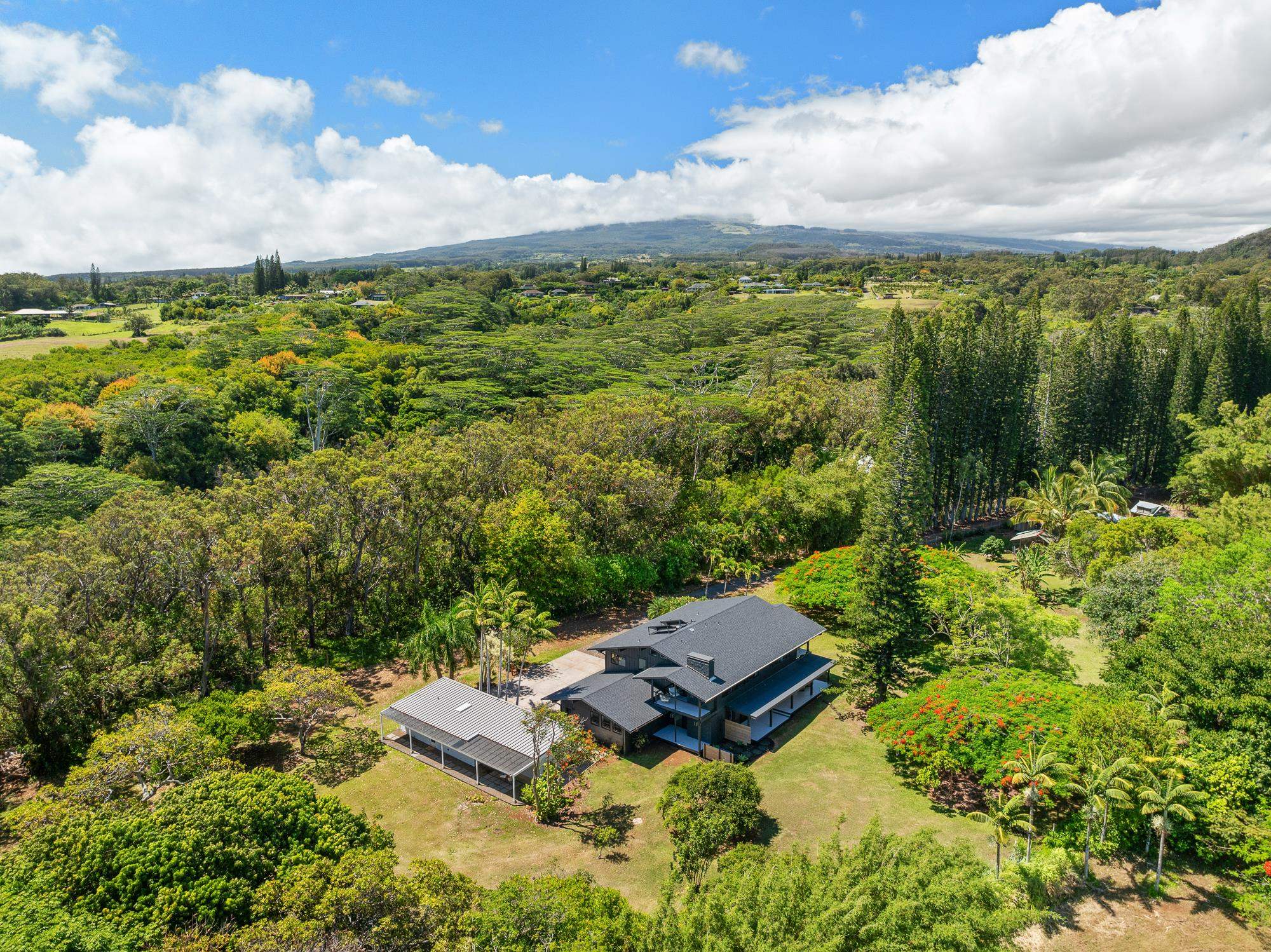 965  Hog Back Rd , Haiku home - photo 34 of 44