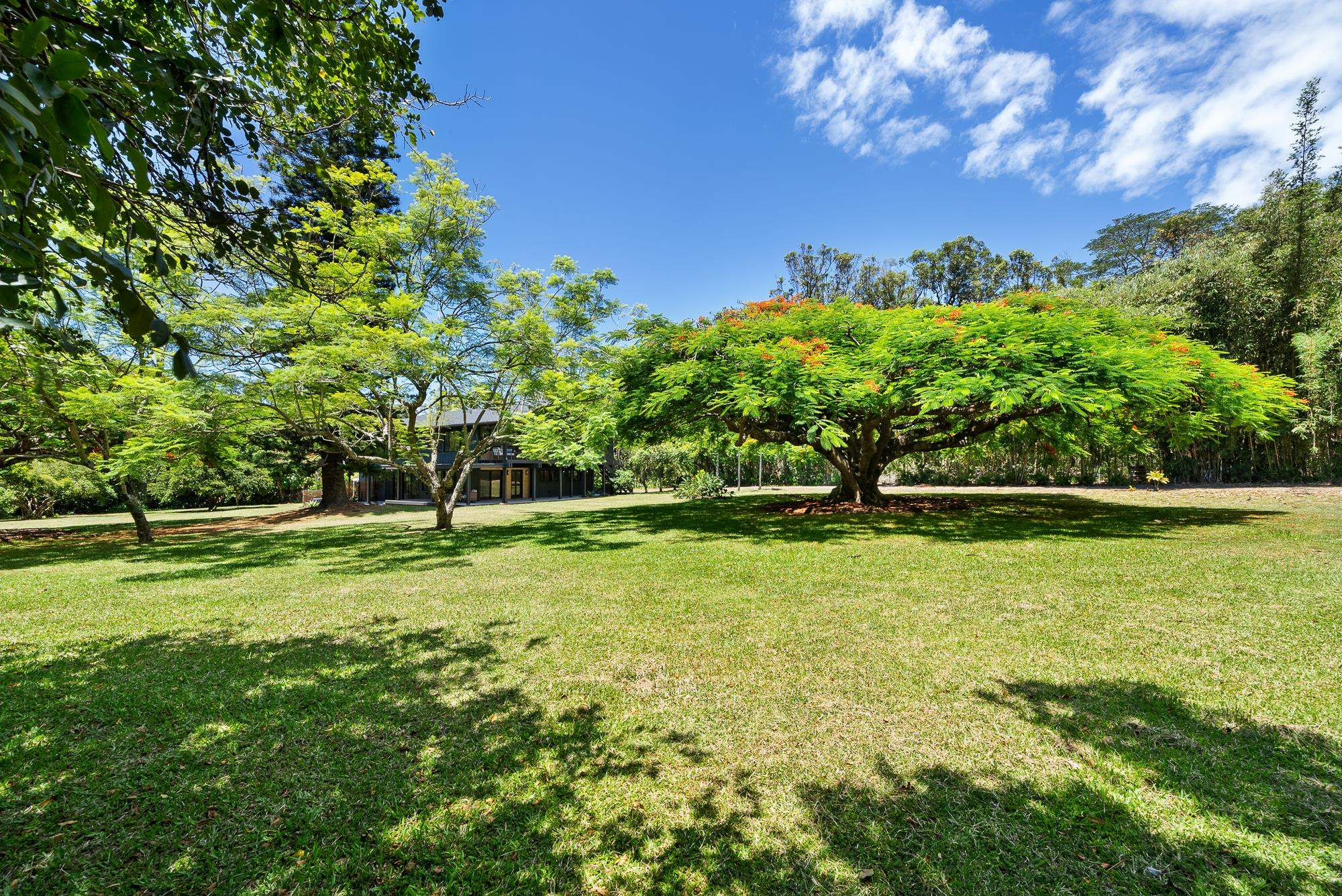 965  Hog Back Rd , Haiku home - photo 38 of 44