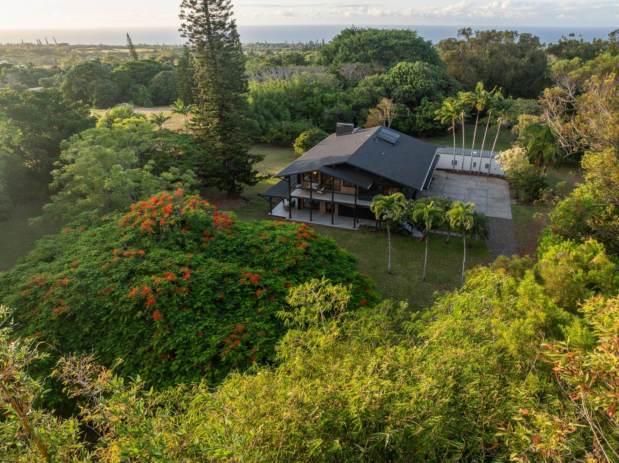 965  Hog Back Rd , Haiku home - photo 43 of 44