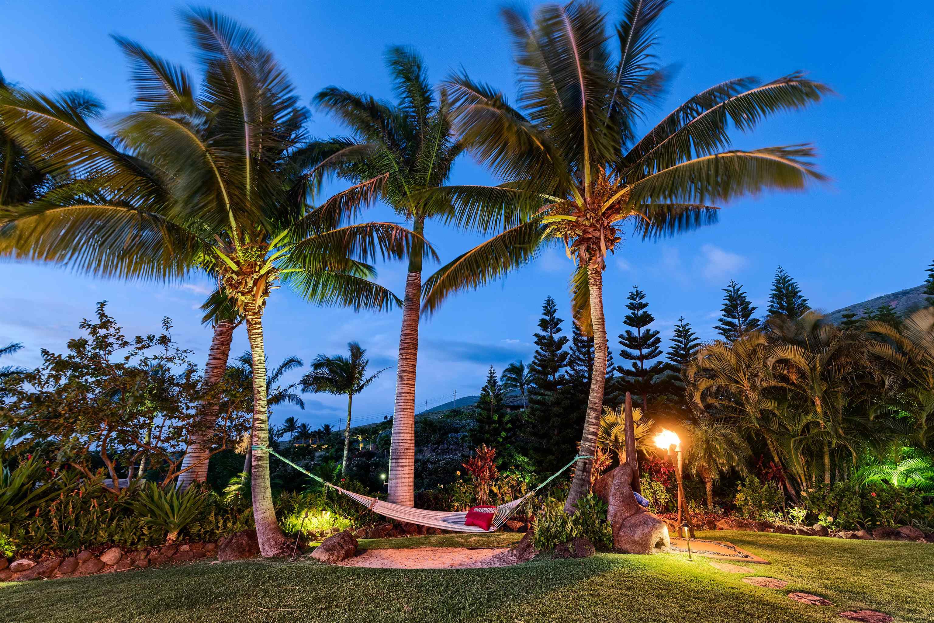 972  Kai Hele Ku Pl , Lahaina home - photo 34 of 49