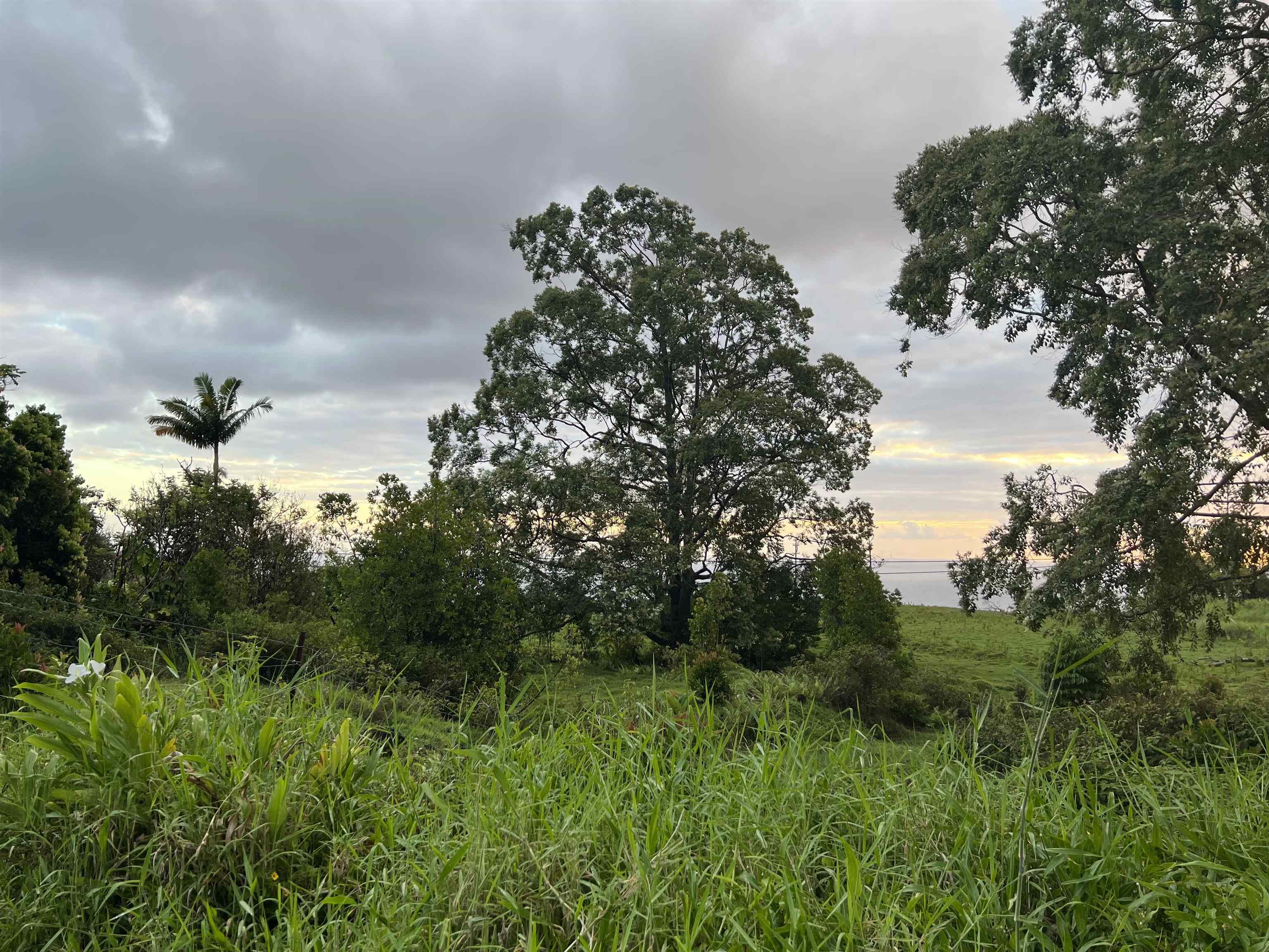 973 Hana Hwy  Hana, Hi vacant land for sale - photo 11 of 37