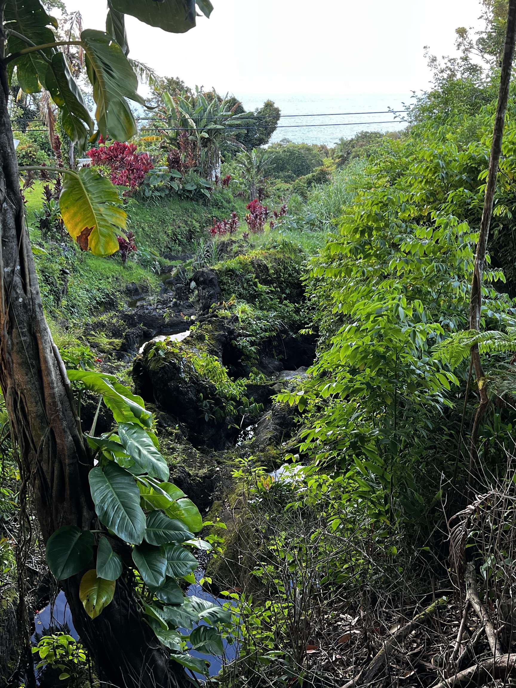 973 Hana Hwy  Hana, Hi vacant land for sale - photo 15 of 37