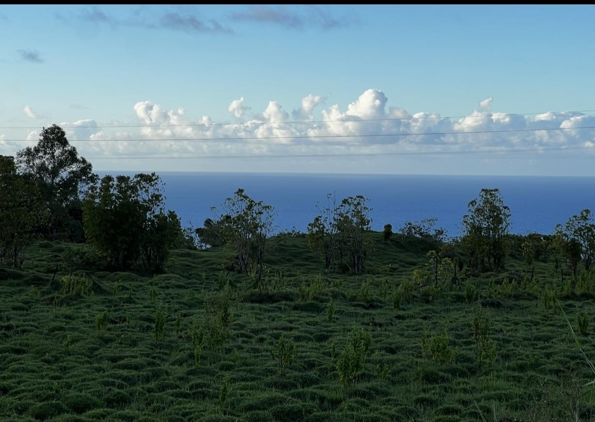 973 Hana Hwy  Hana, Hi vacant land for sale - photo 16 of 37