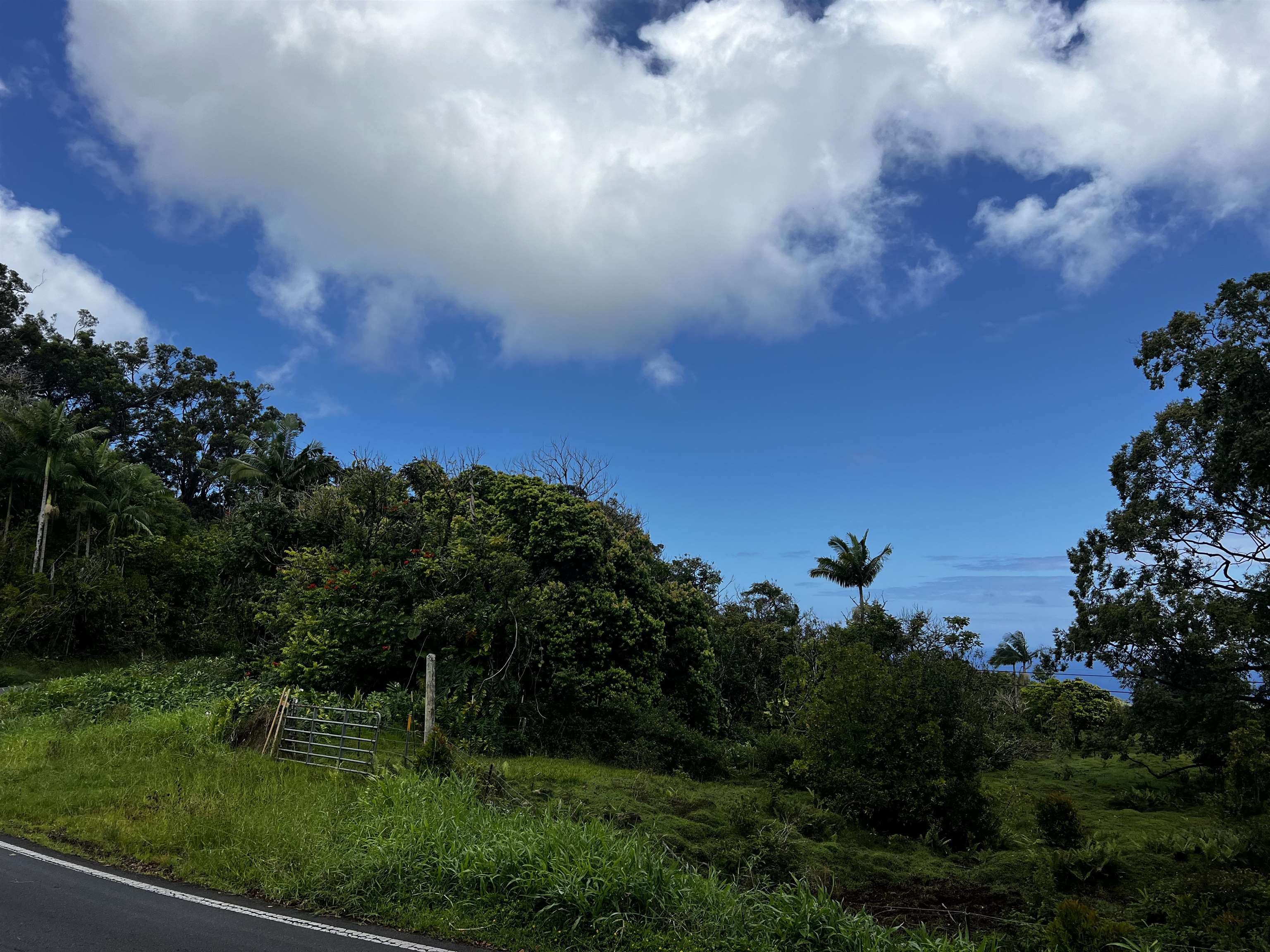 973 Hana Hwy  Hana, Hi vacant land for sale - photo 20 of 37