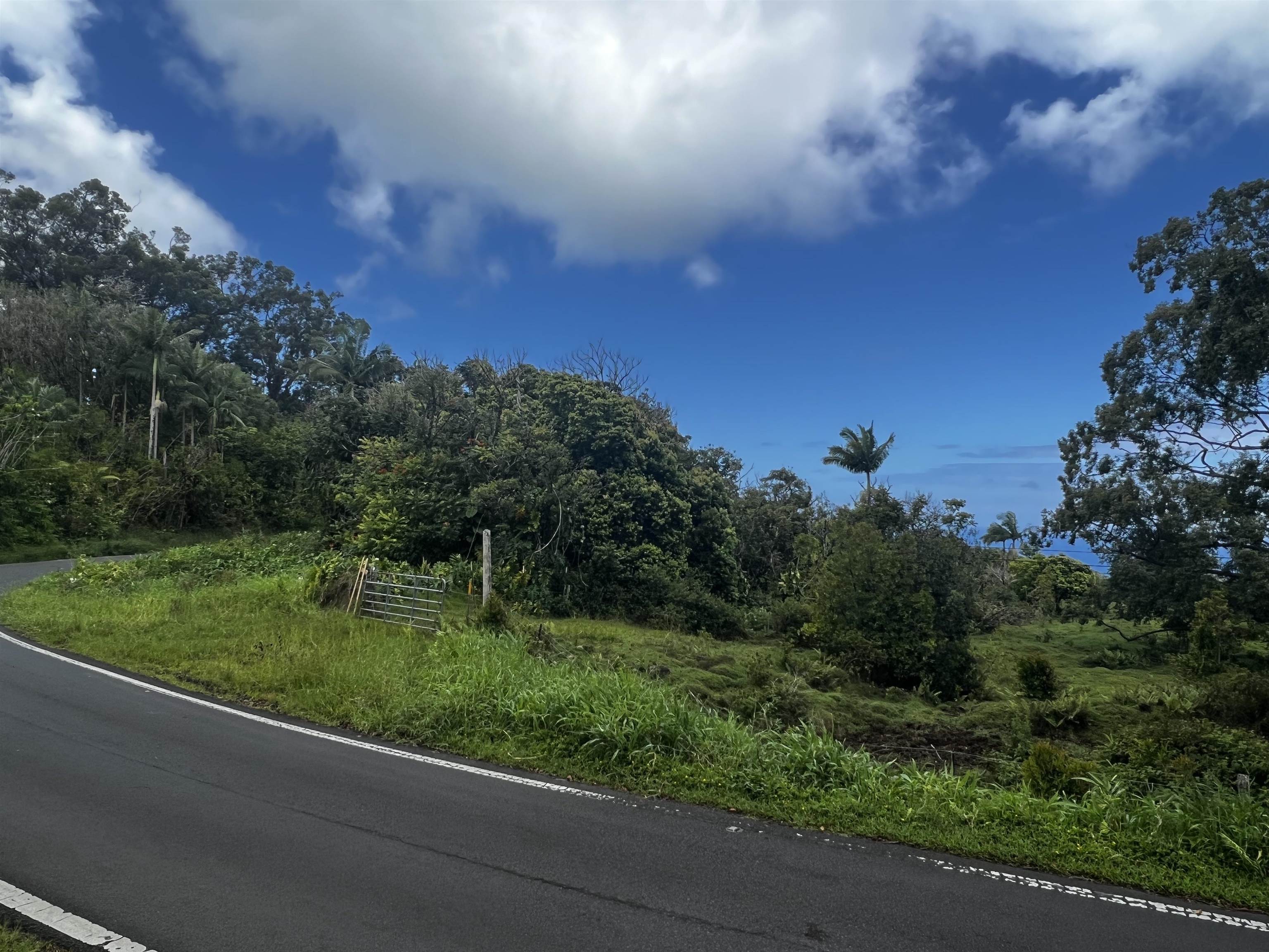 973 Hana Hwy  Hana, Hi vacant land for sale - photo 21 of 37