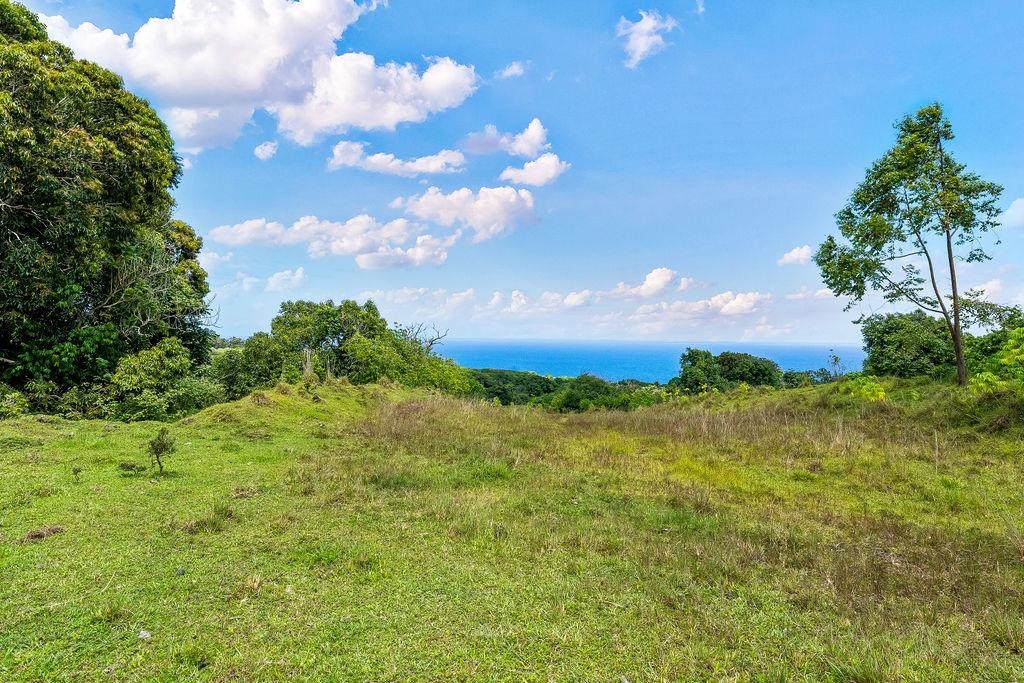 973 Hana Hwy  Hana, Hi vacant land for sale - photo 23 of 37