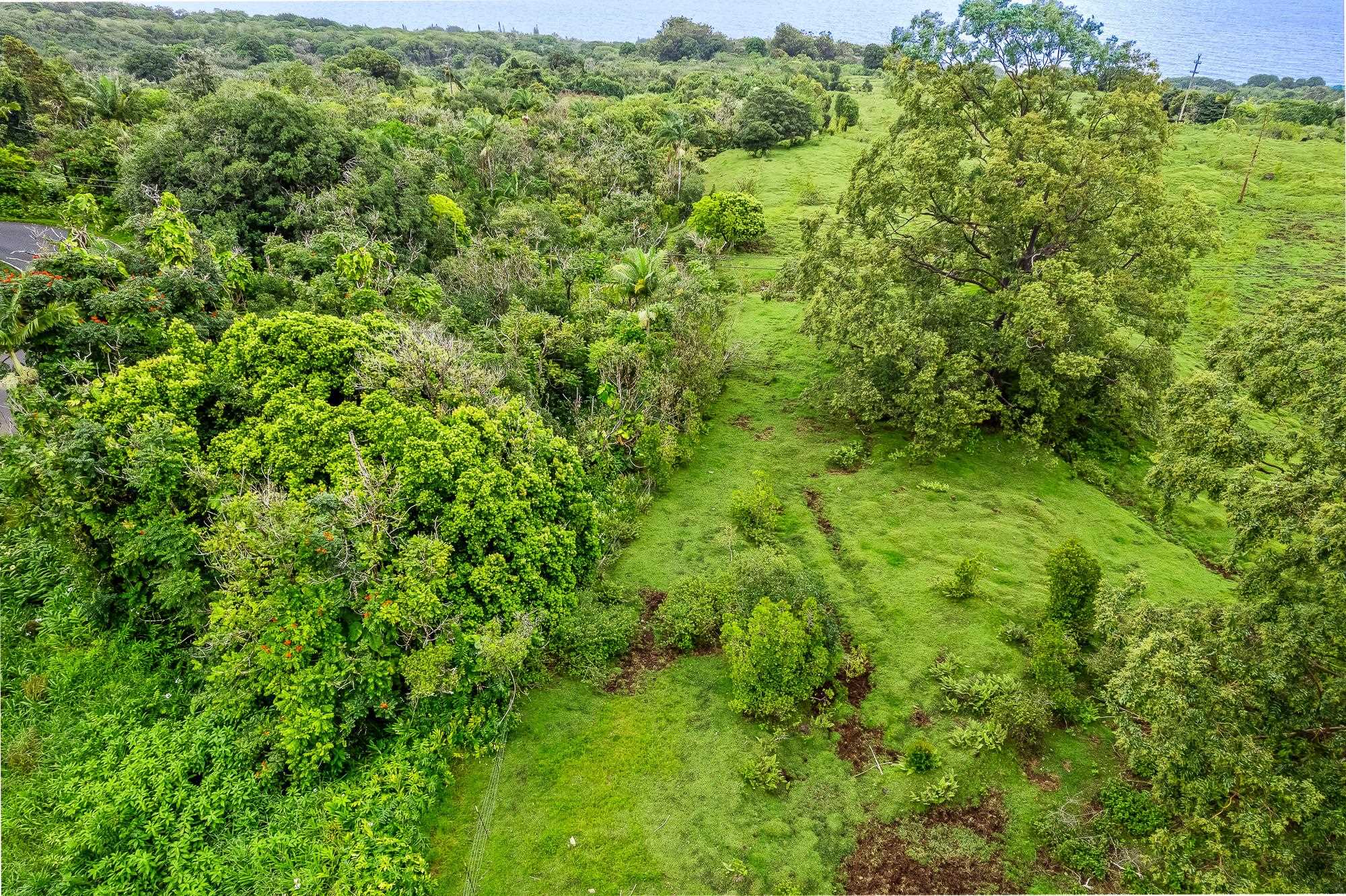 973 Hana Hwy  Hana, Hi vacant land for sale - photo 26 of 37