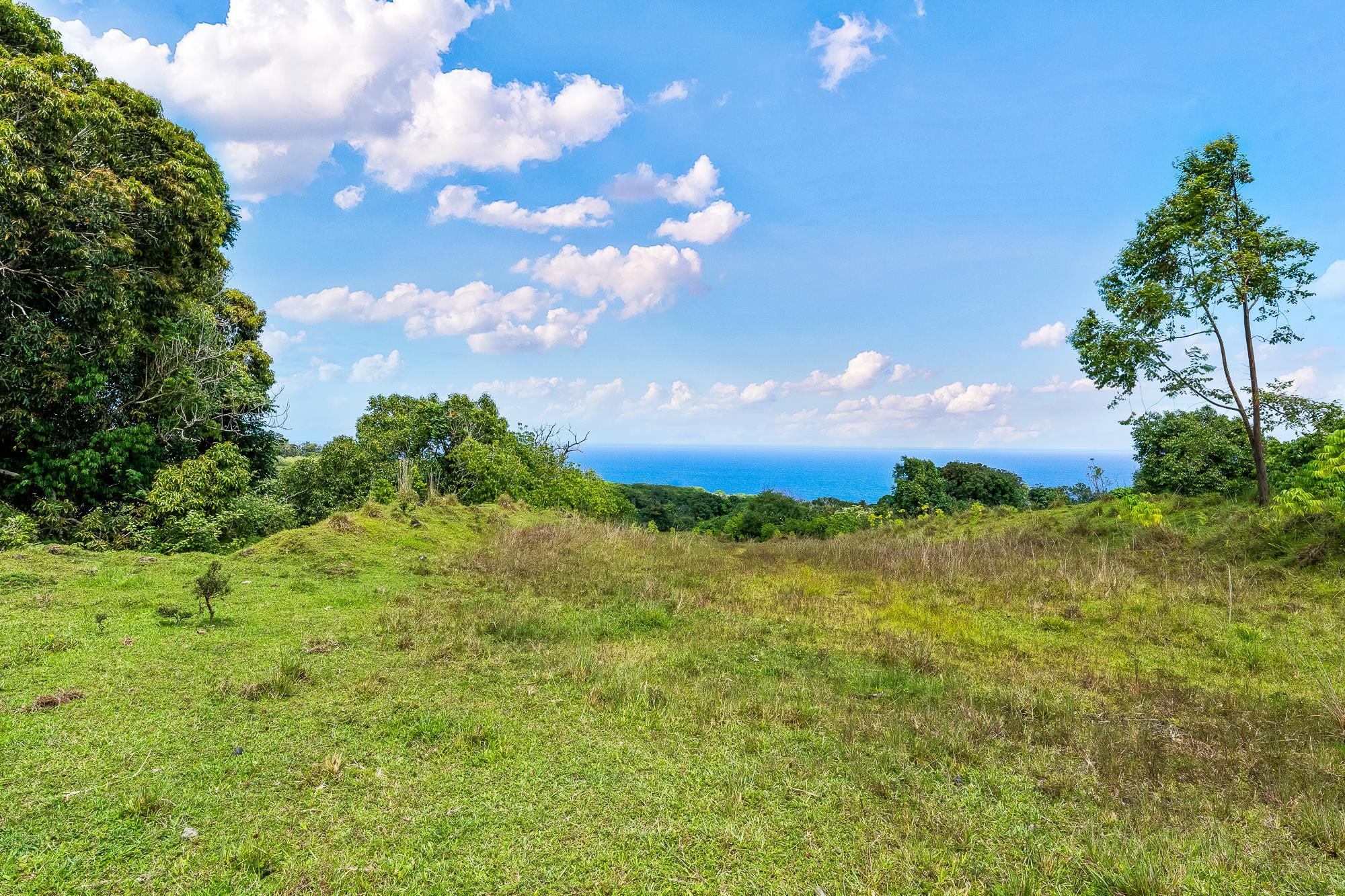 973 Hana Hwy  Hana, Hi vacant land for sale - photo 29 of 37